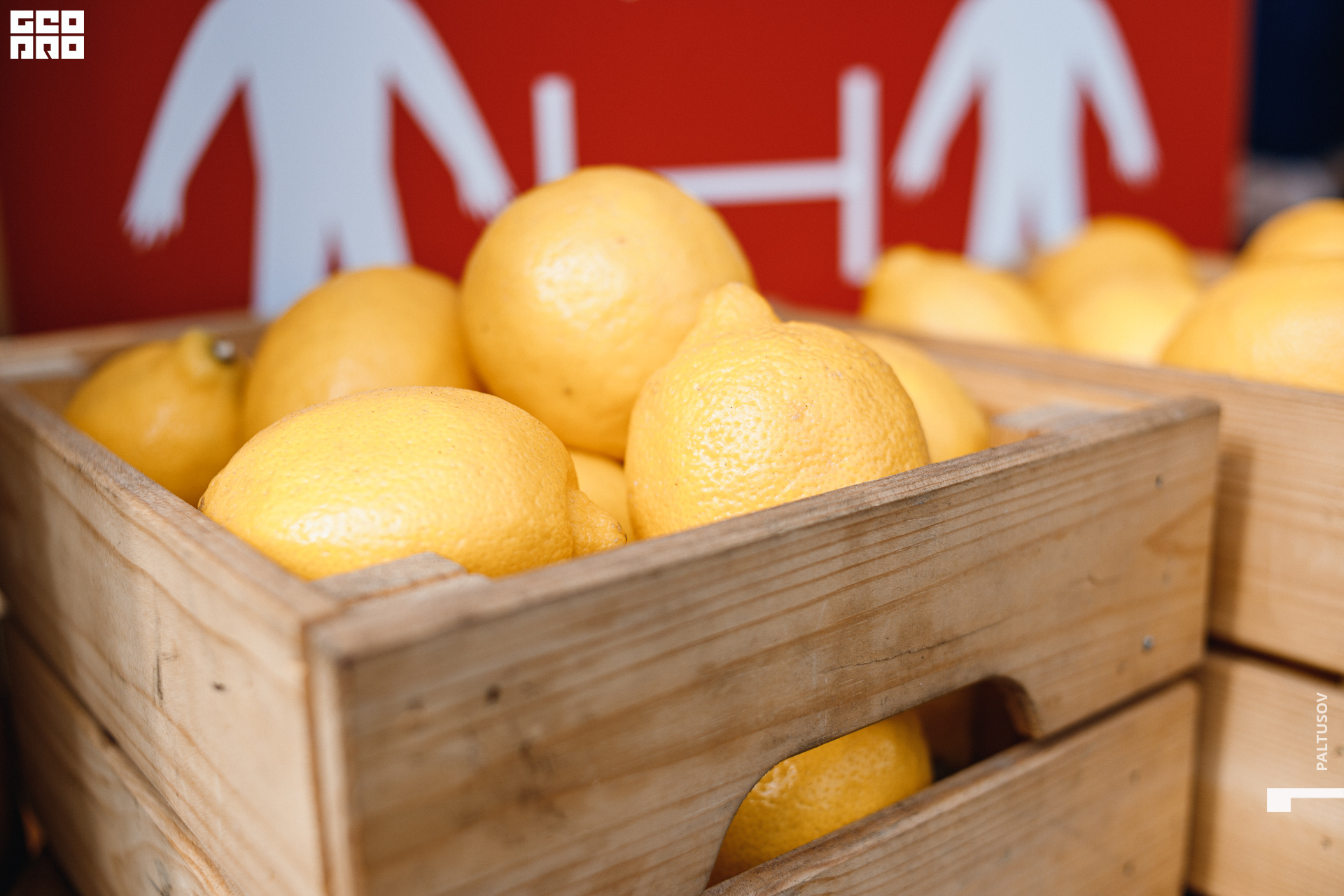 071-2020-07-25-16-32-52 - Paltusov.jpg