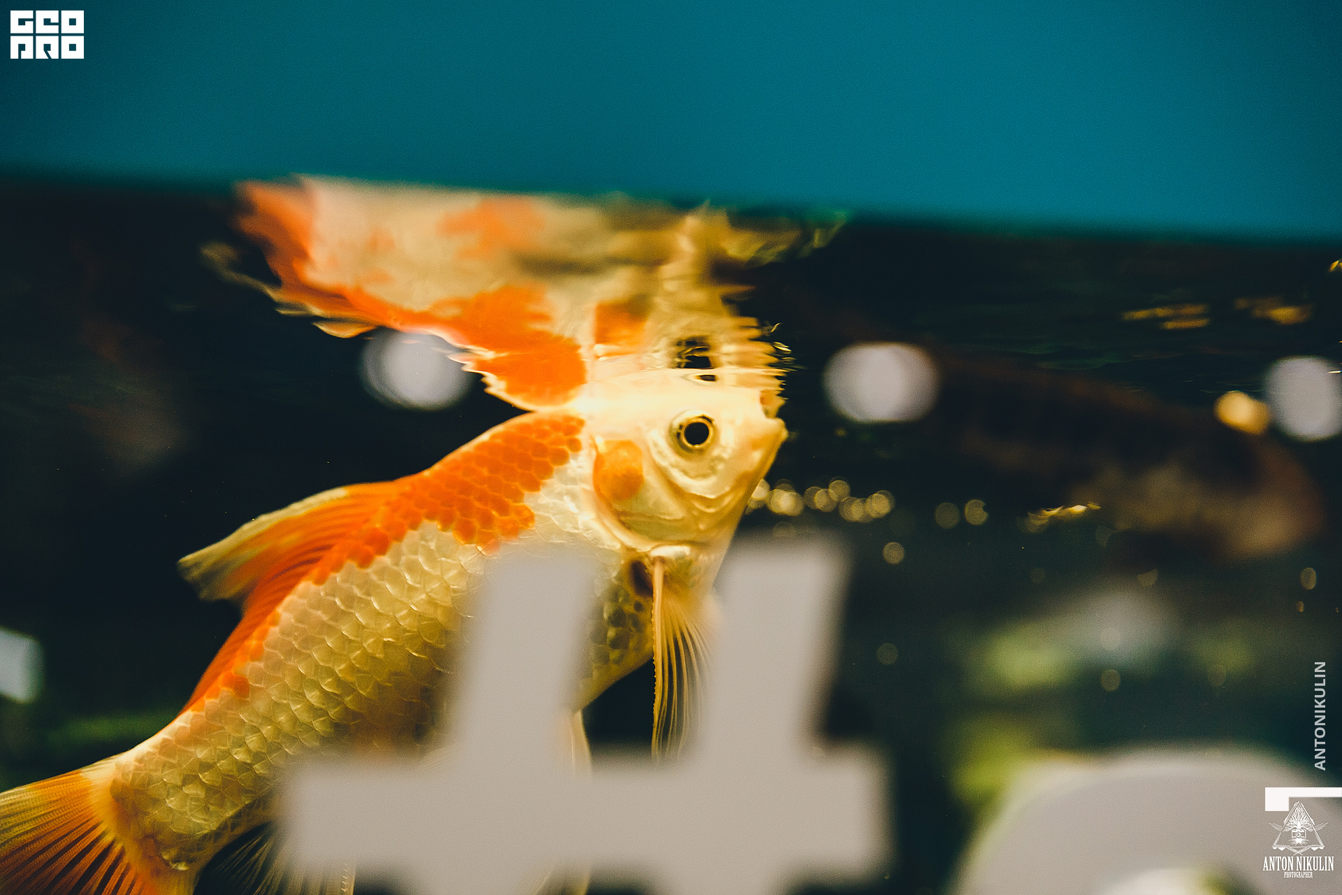 untitled shoot-9736.jpg