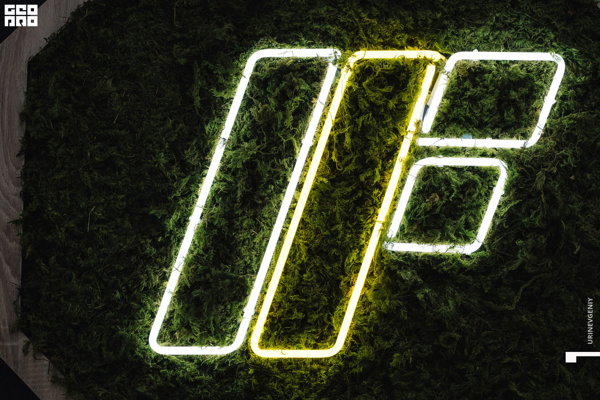 29.11. octagon fit (0).jpg