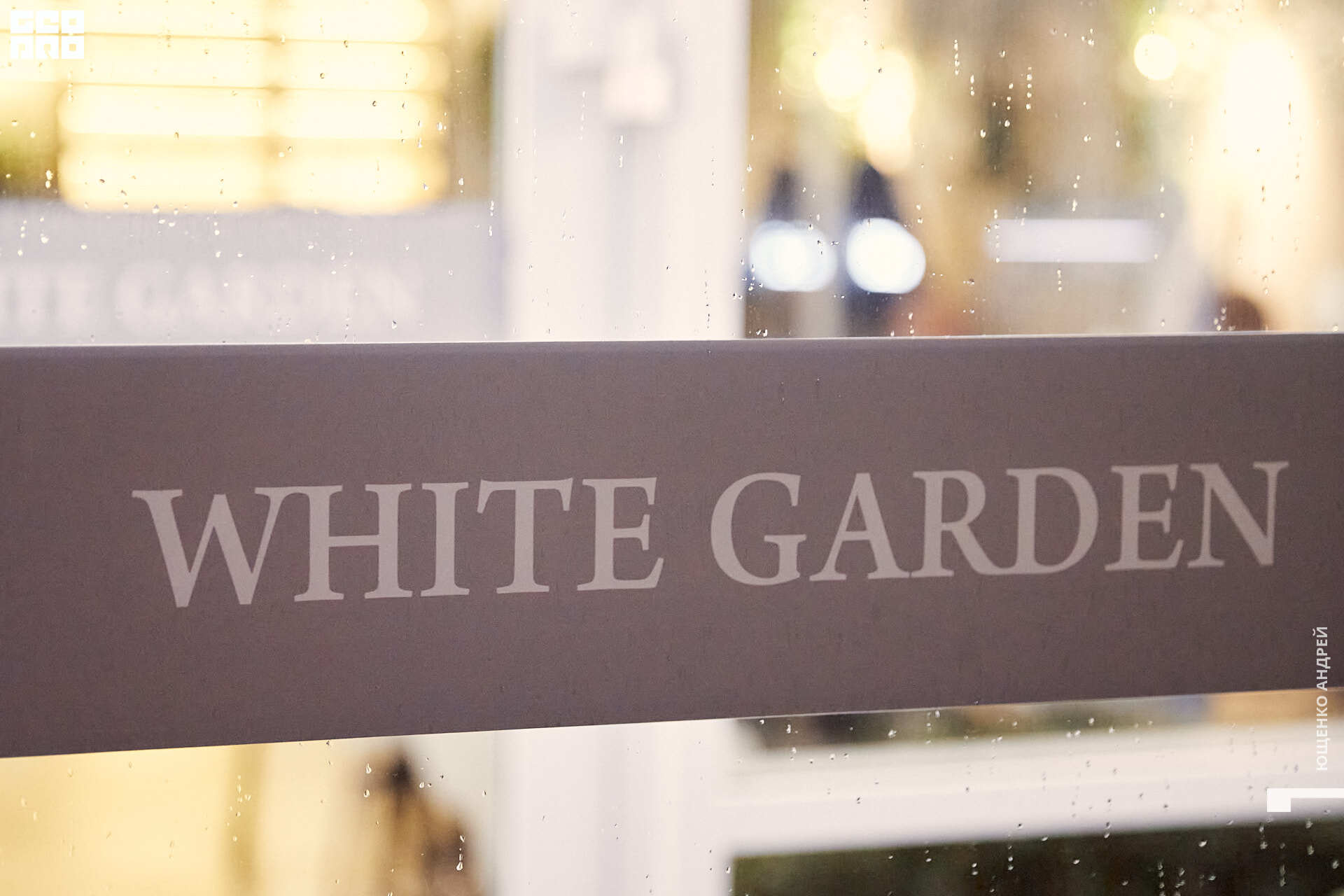 091 IMG_3045  FHD.jpg