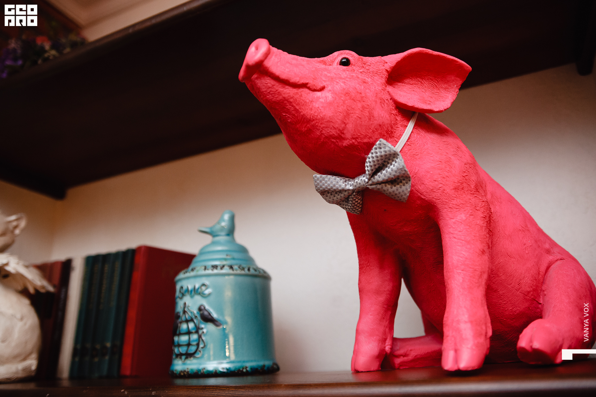 2020-02-14 18-45-00_vox_059.jpg