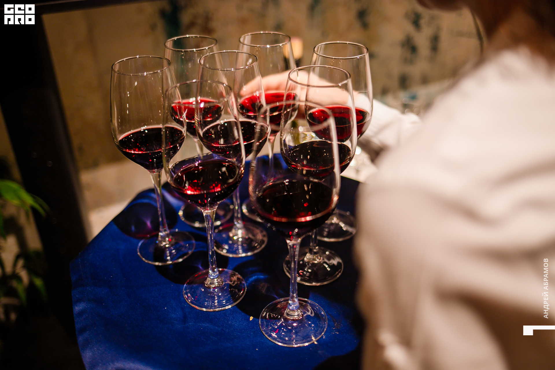 051219 Гастроужин Птичка Абрамов  0066.jpg