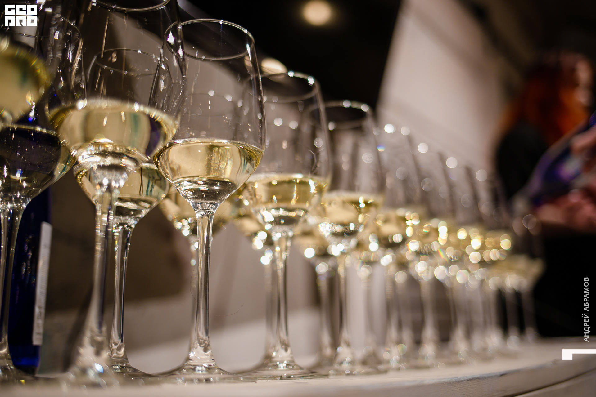 051219 Гастроужин Птичка Абрамов  0097.jpg