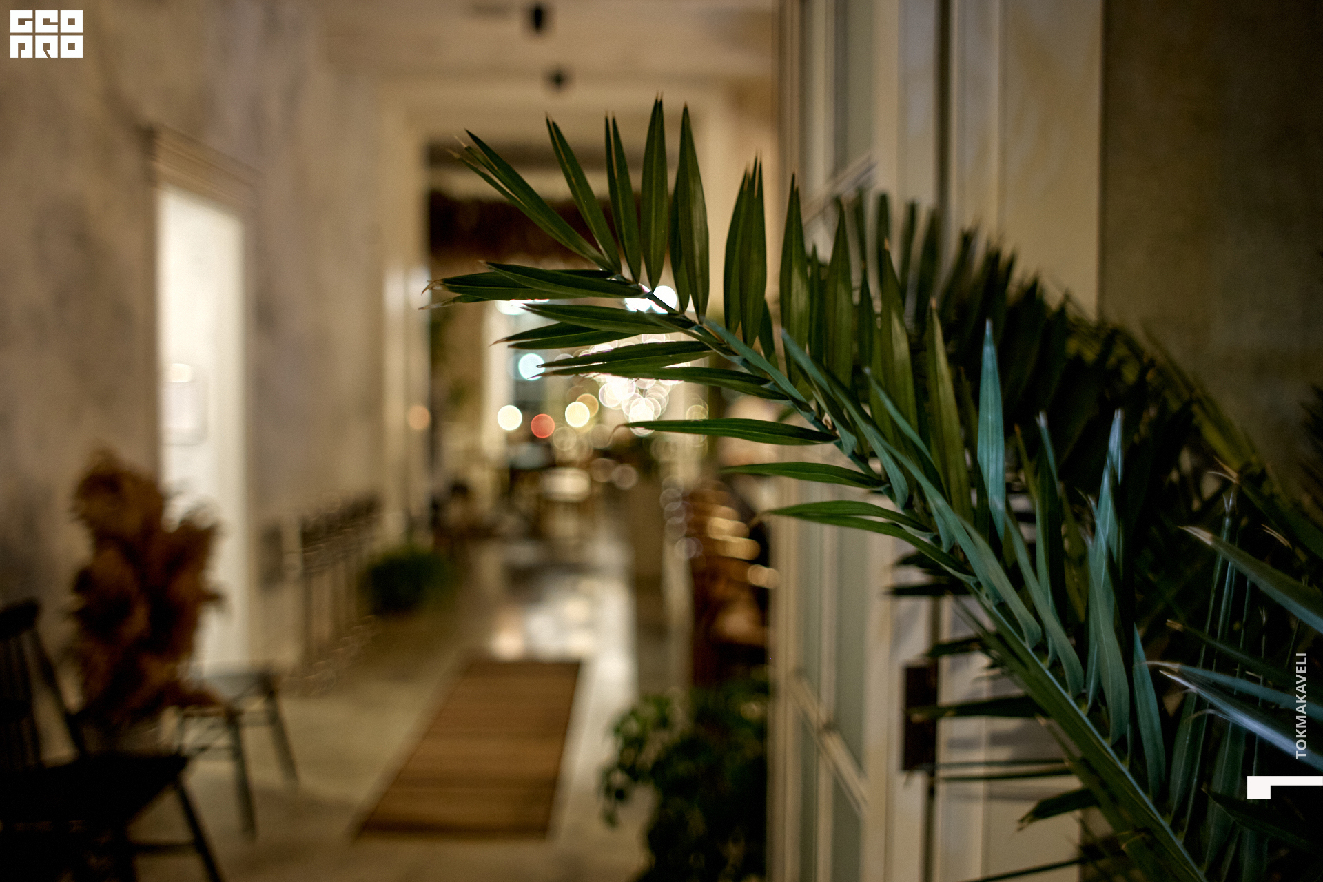 tokmakaveli 2982.jpg