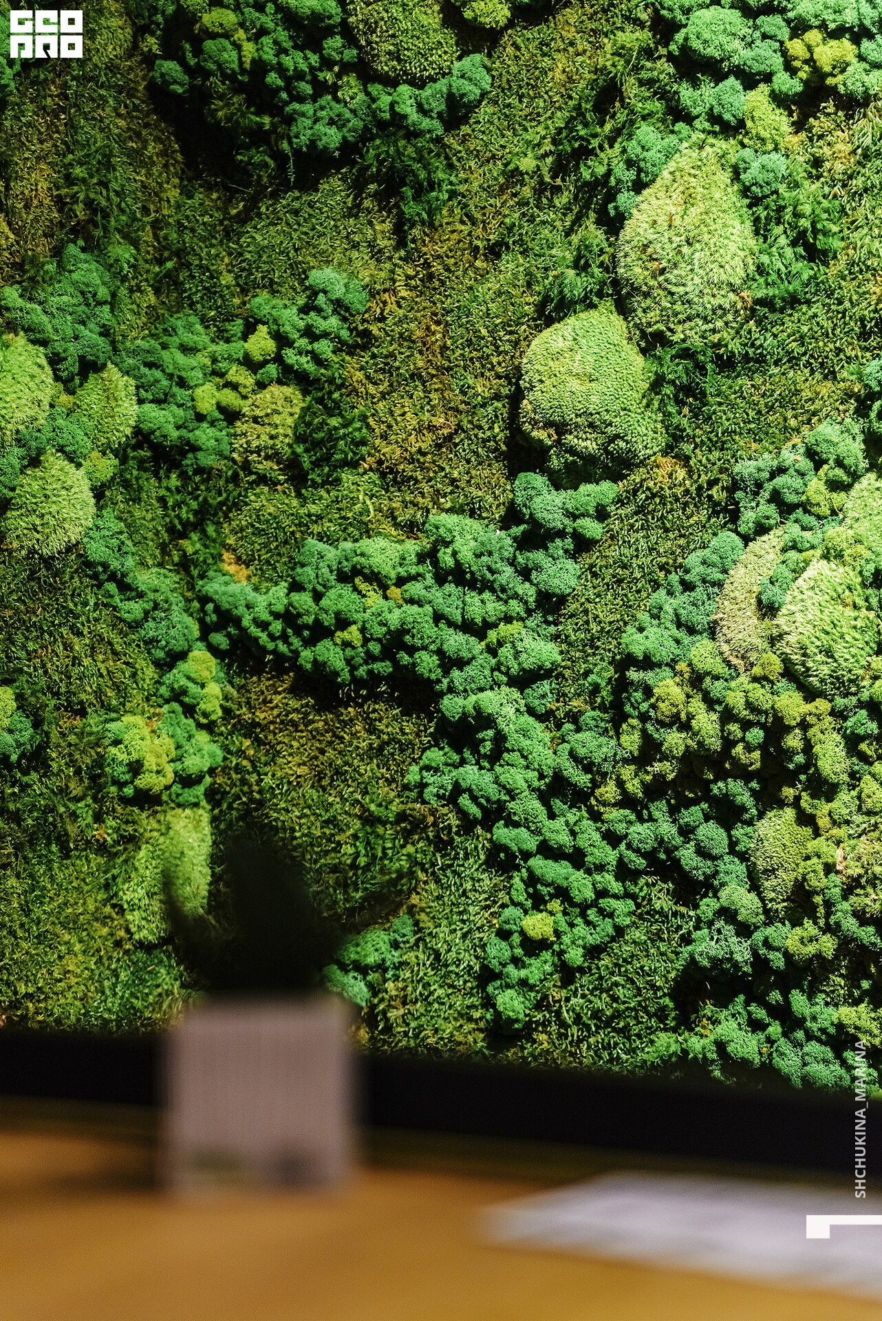  31.10.2019 цвет-139.jpg