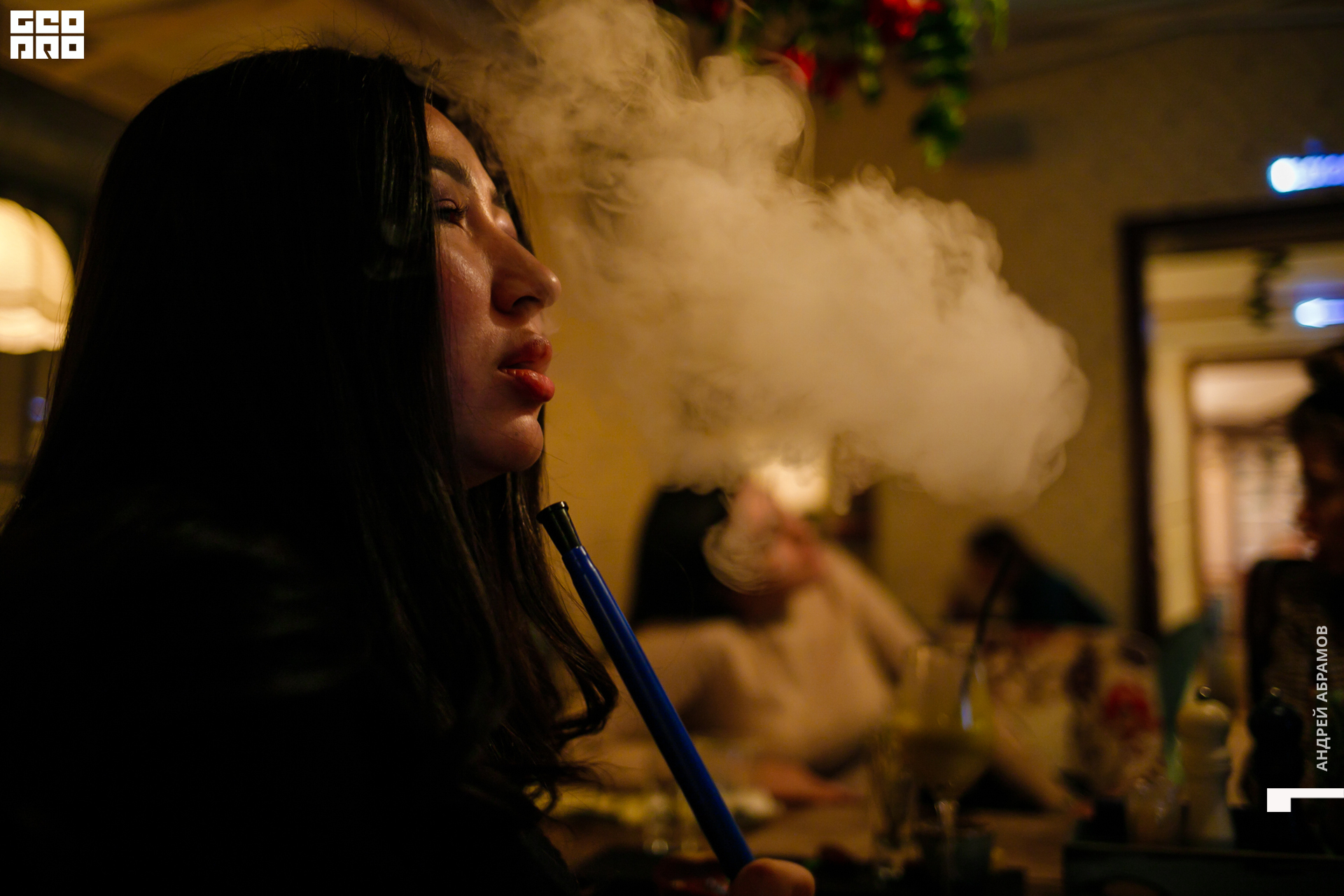 221119 Птичка Абрамов 0012.jpg