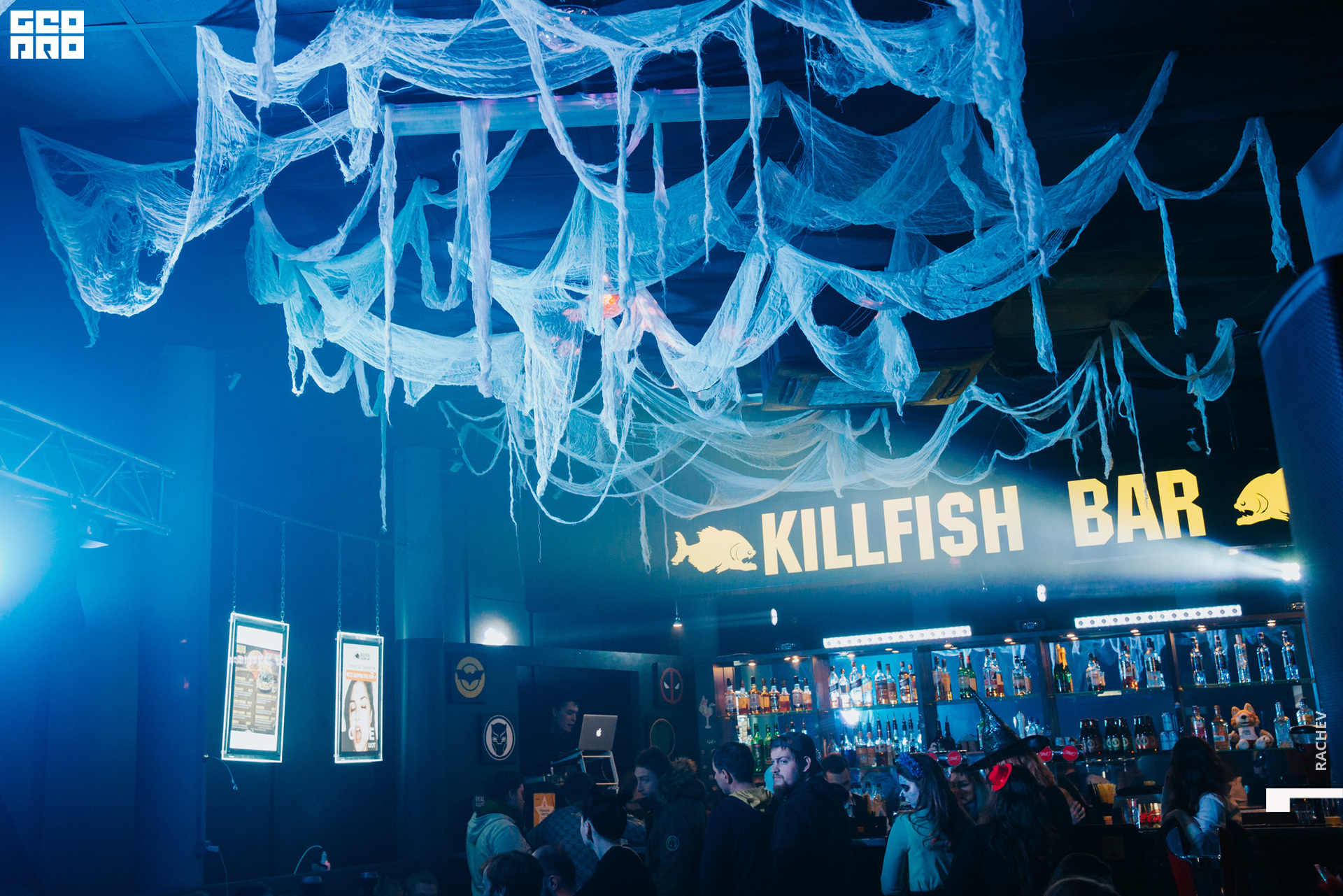 killfish-017.jpg