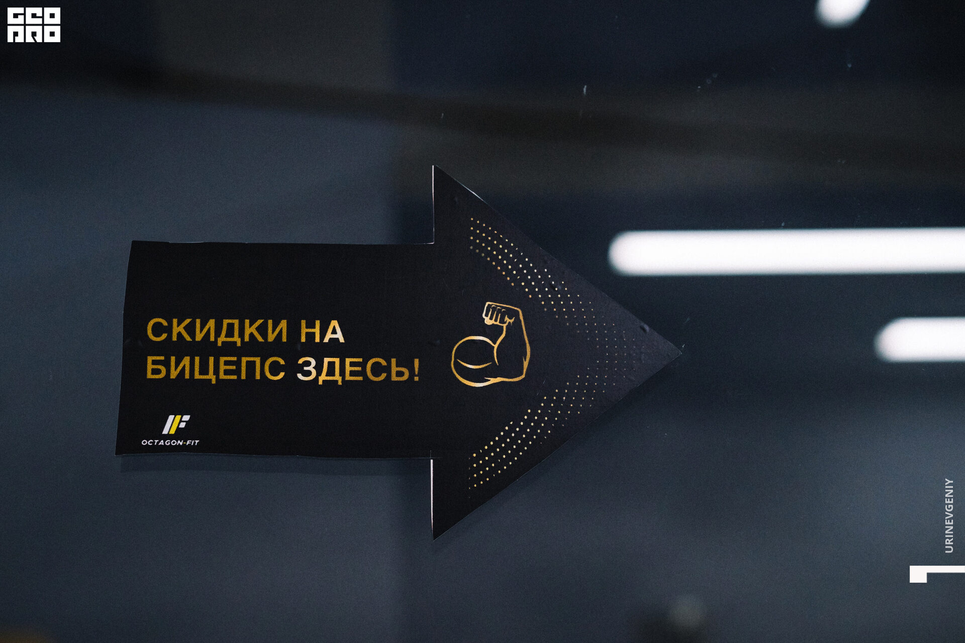 29.11. octagon fit (20).jpg