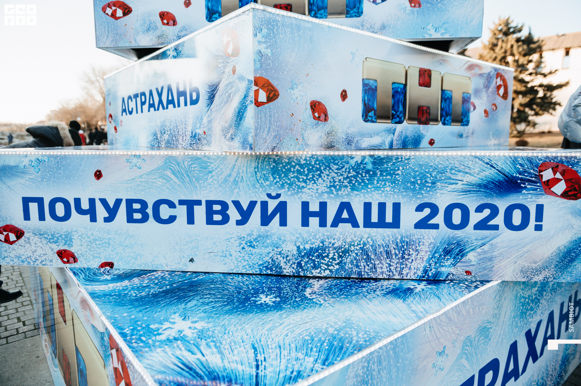 untitled (15 of 97).jpg