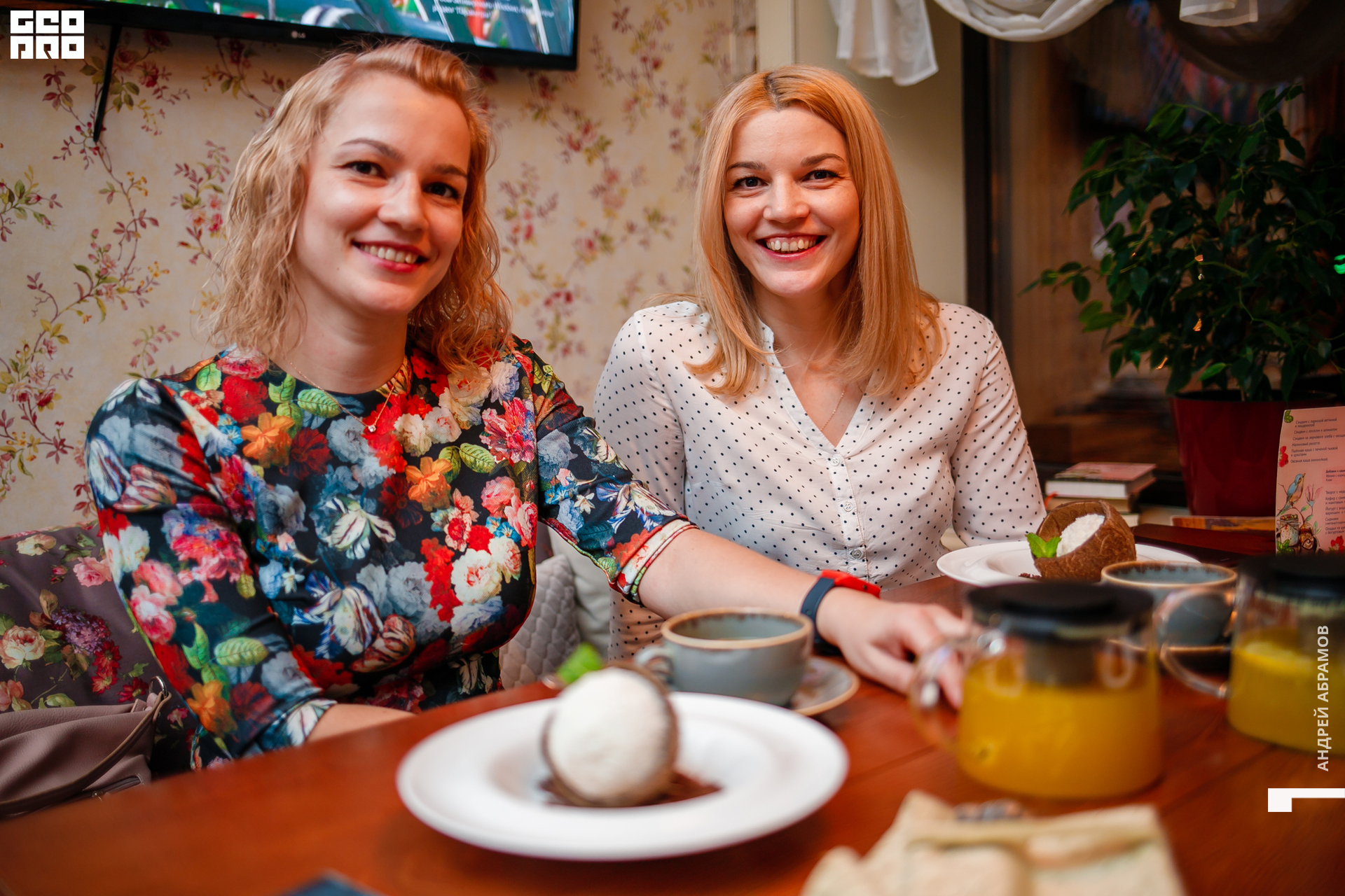 151119 Птичка Абрамов 0062.jpg