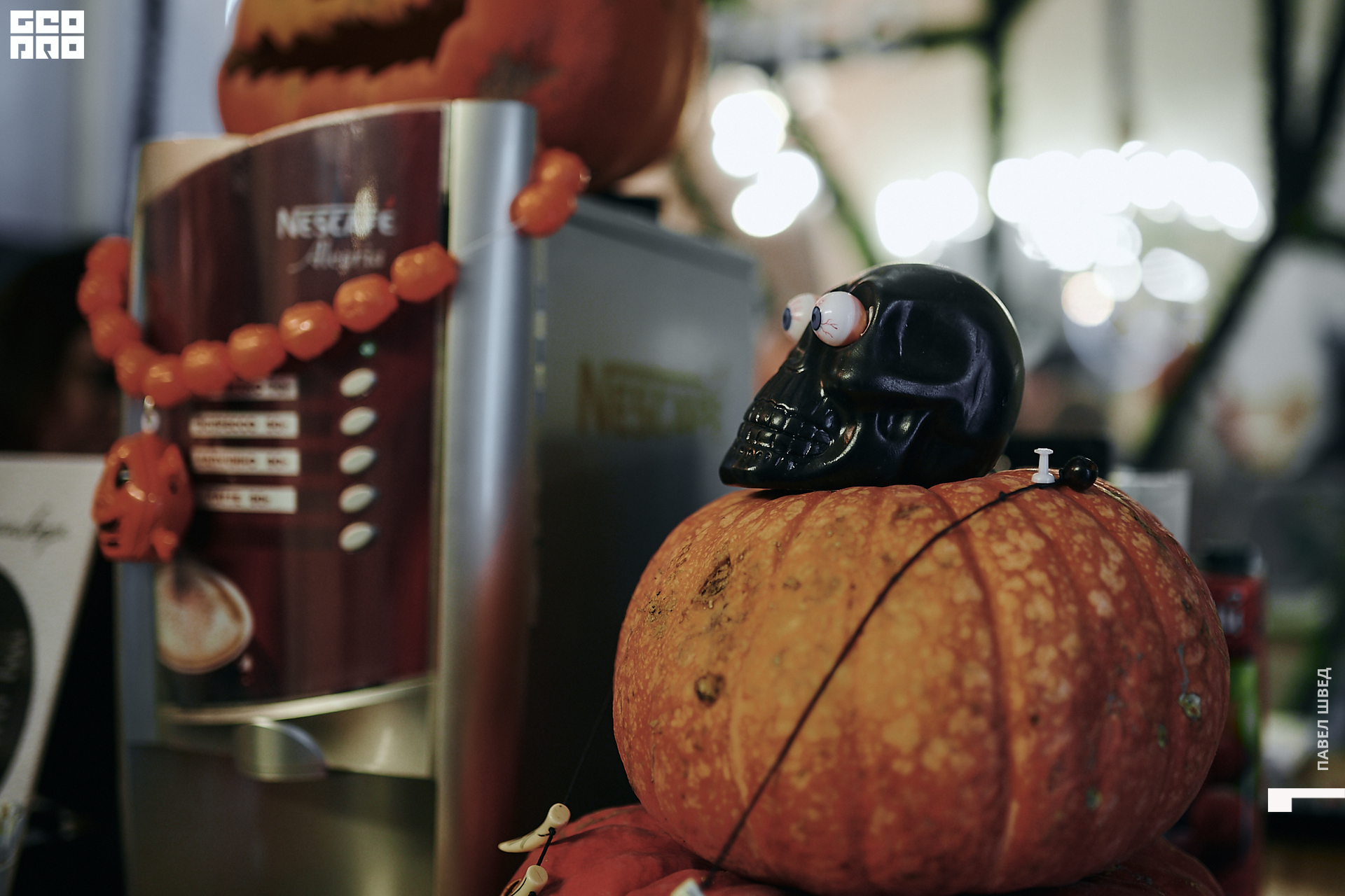 2019-11-01 21-00-00_SHVED-0003.jpg