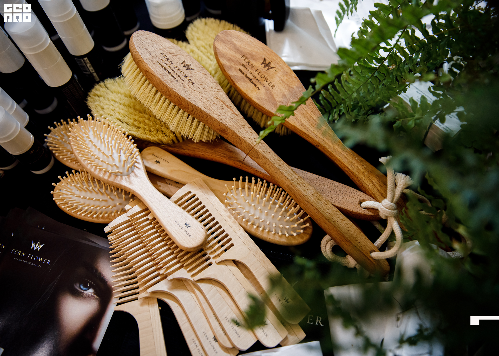 untitled (5-1 of 146).jpg