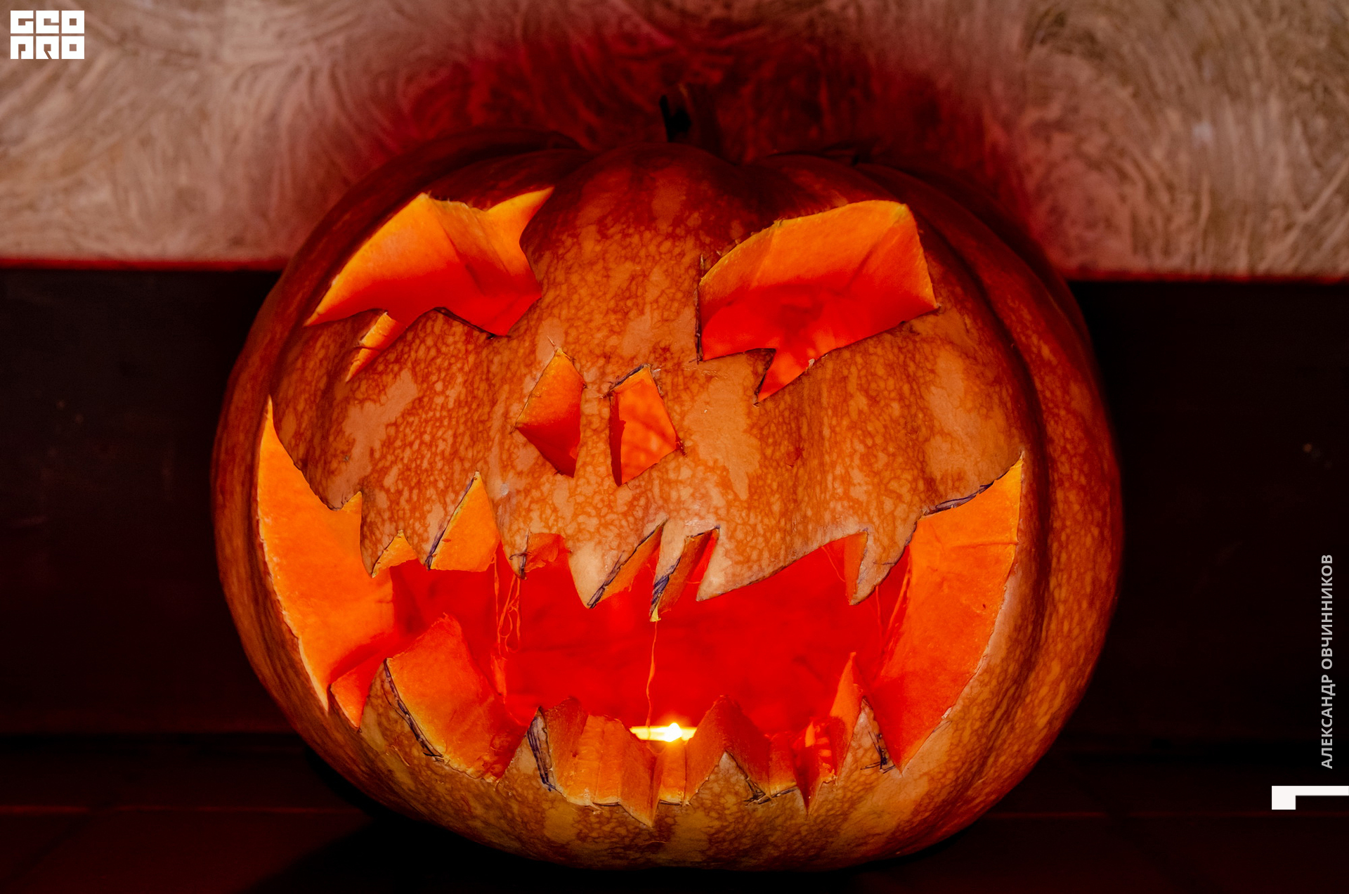 Фото 142 копия.jpg