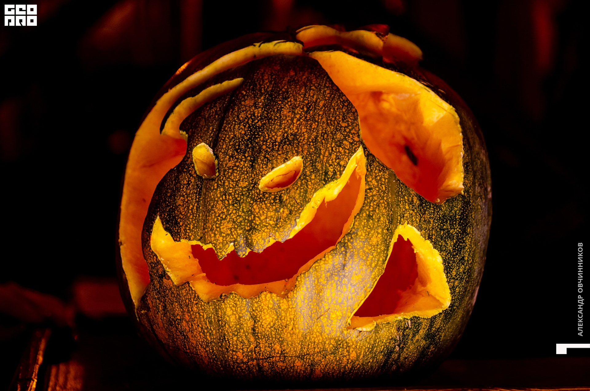 Фото 002 копия.jpg