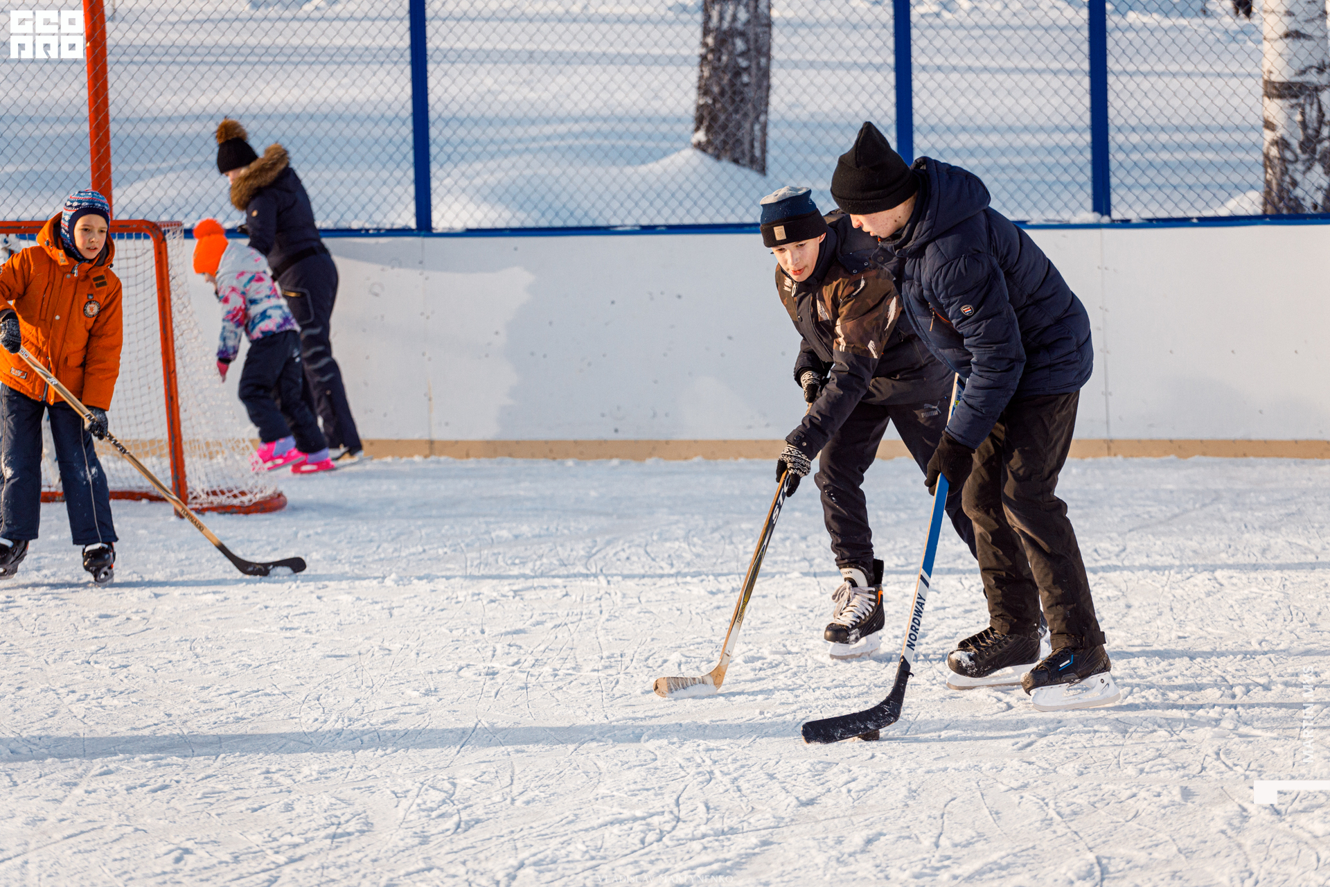 Лесная 26 января_00021.jpg