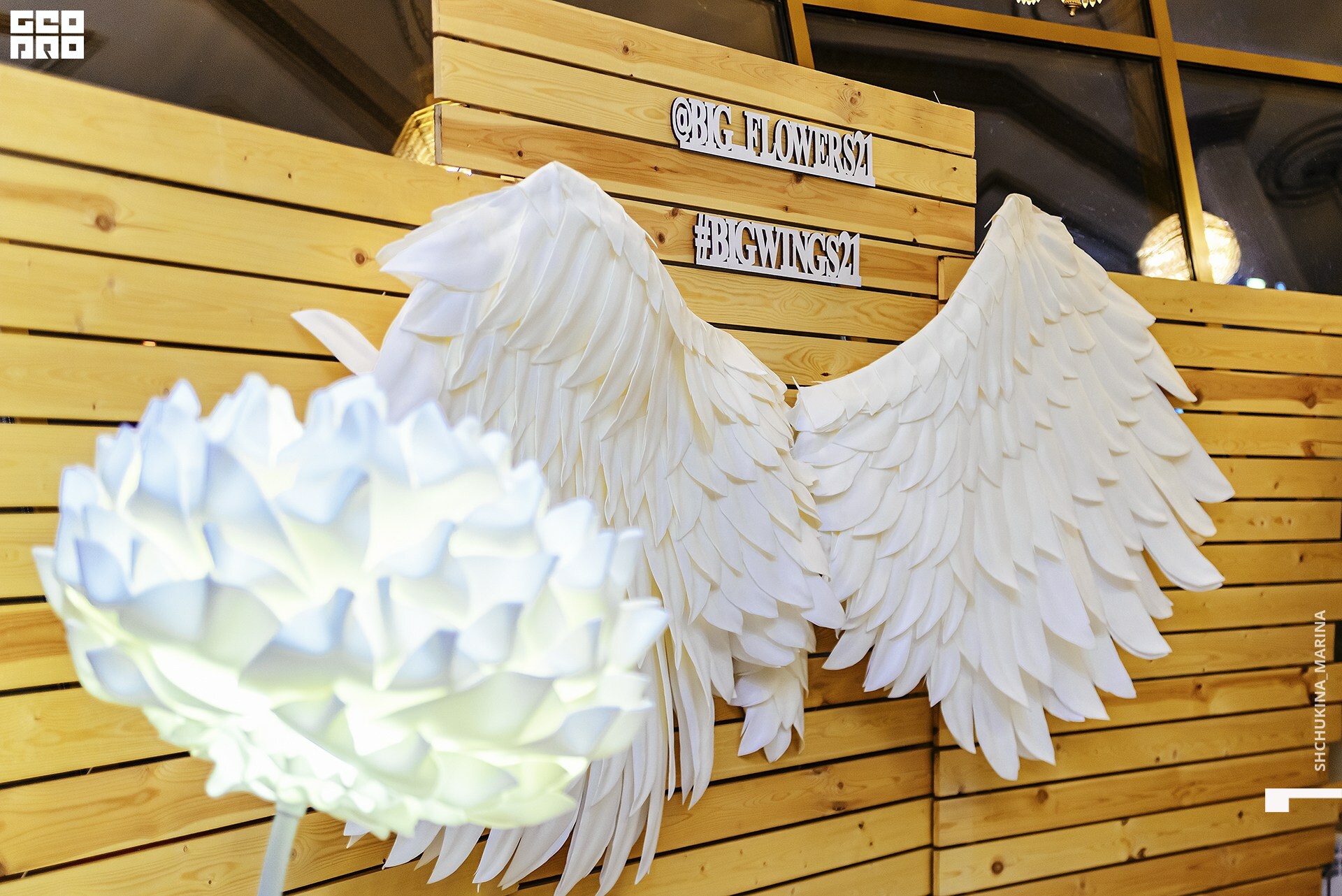 03.11.2019 цвет-72.jpg