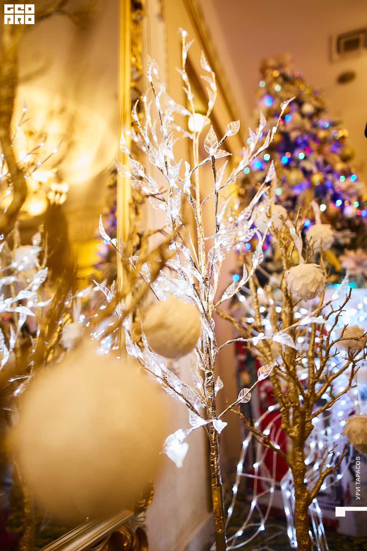 171 191228_125649_uri_0171.jpg