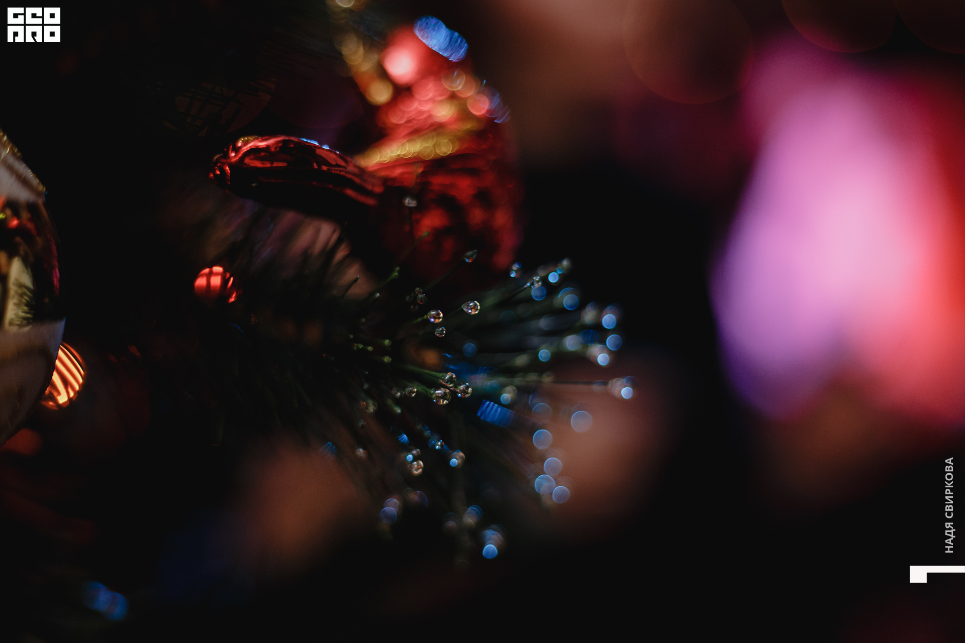 2019-12-27 20-00-00_svirkova_095.jpg