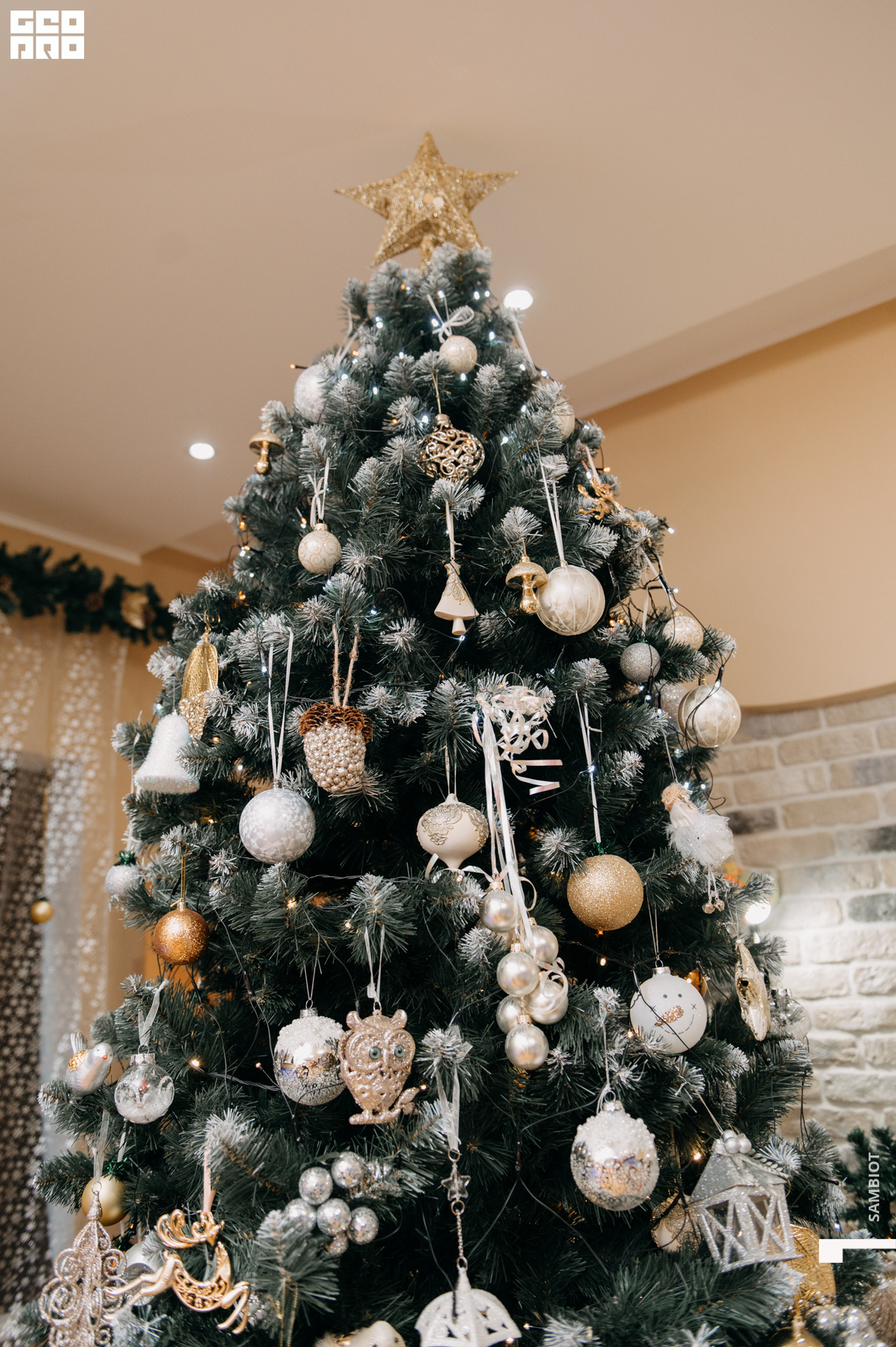 untitled (194 of 195).jpg