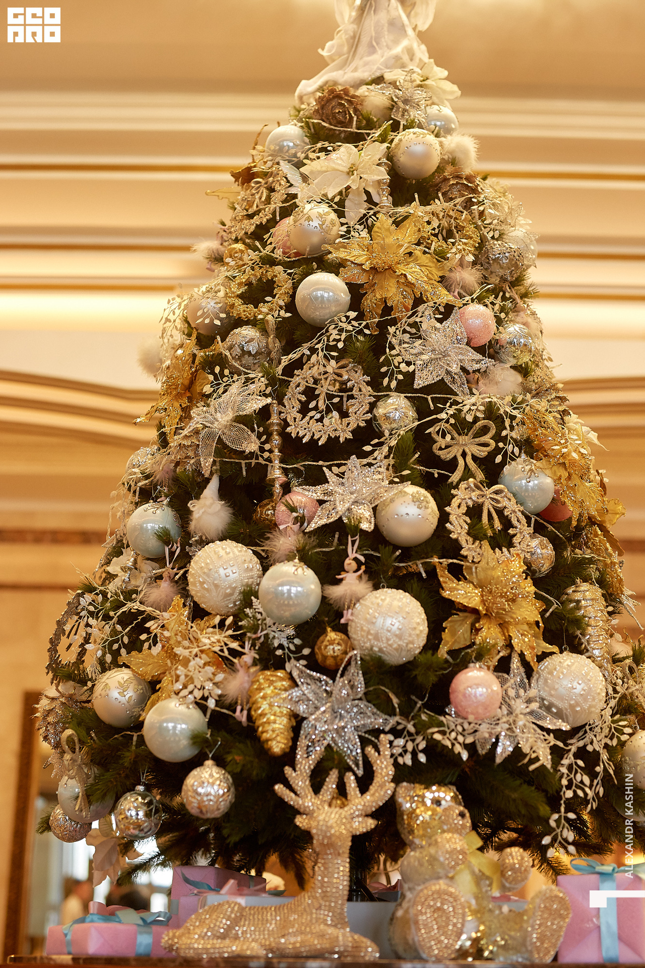 2019-12-21 11-00-00_Kashin_0155.jpg