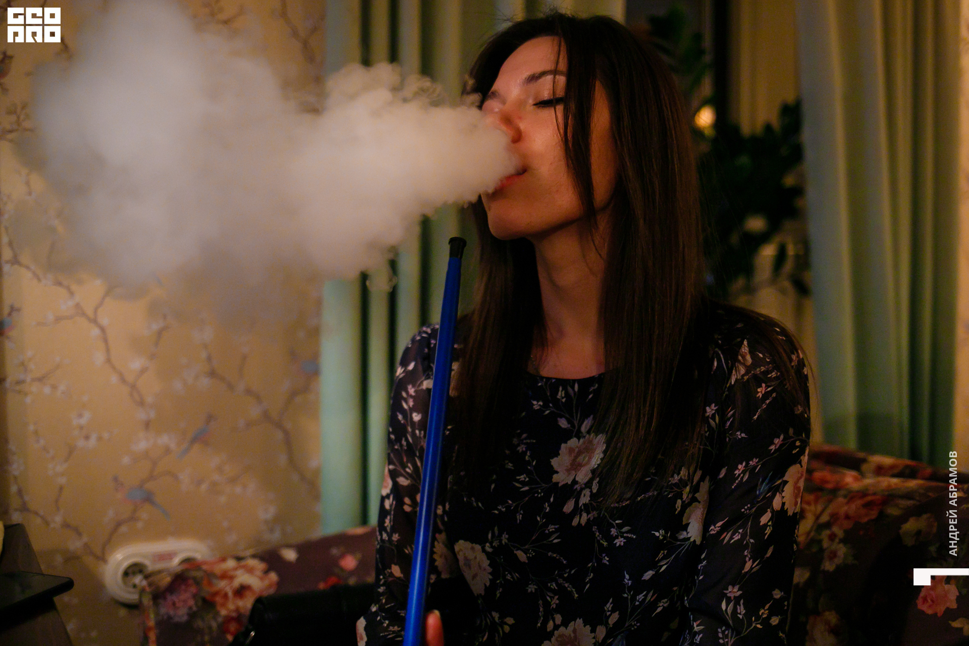 151119 Птичка Абрамов 0004.jpg