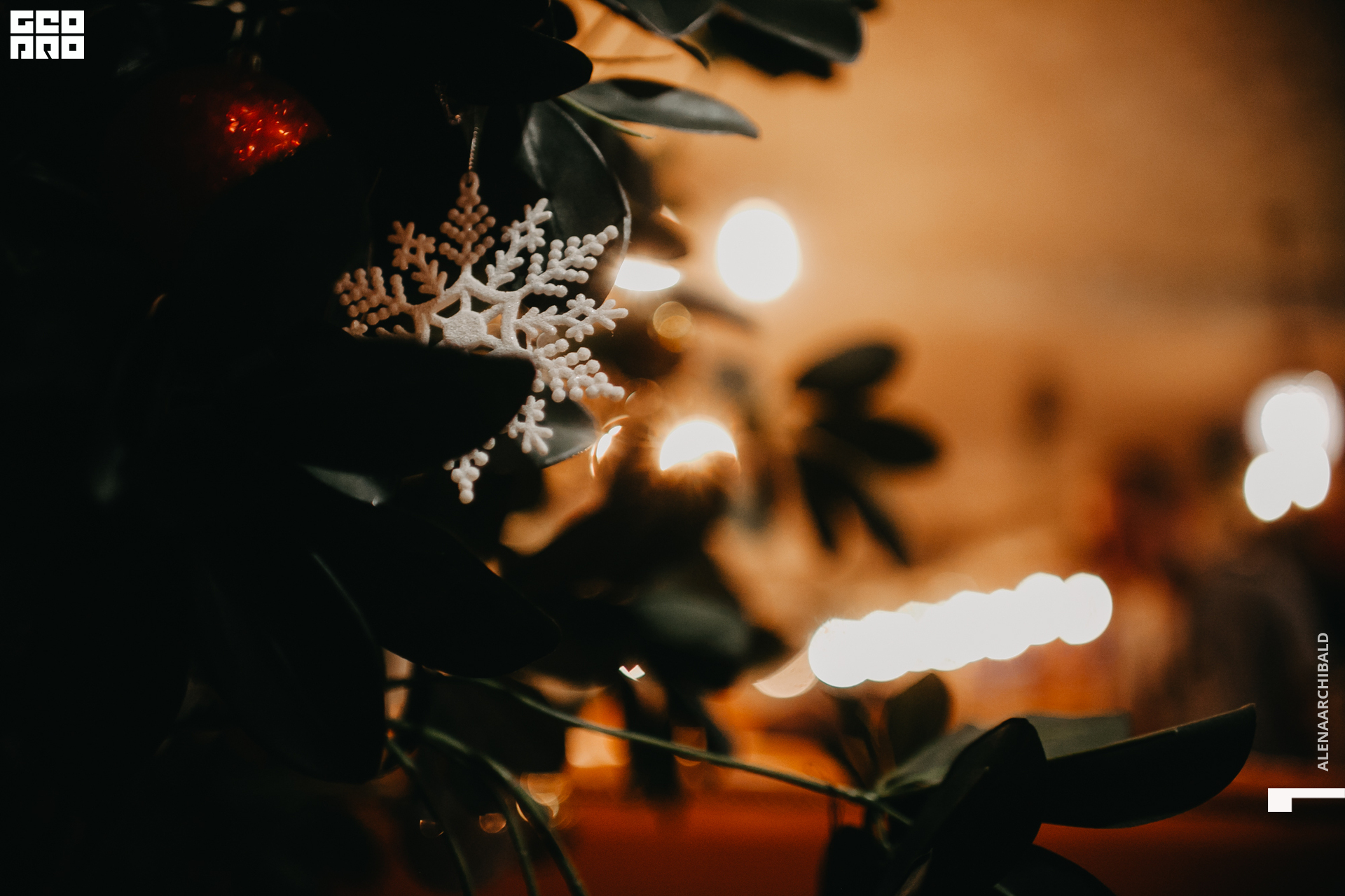 2019-12-06 20-00-36_alenaarchibald_0004.jpg