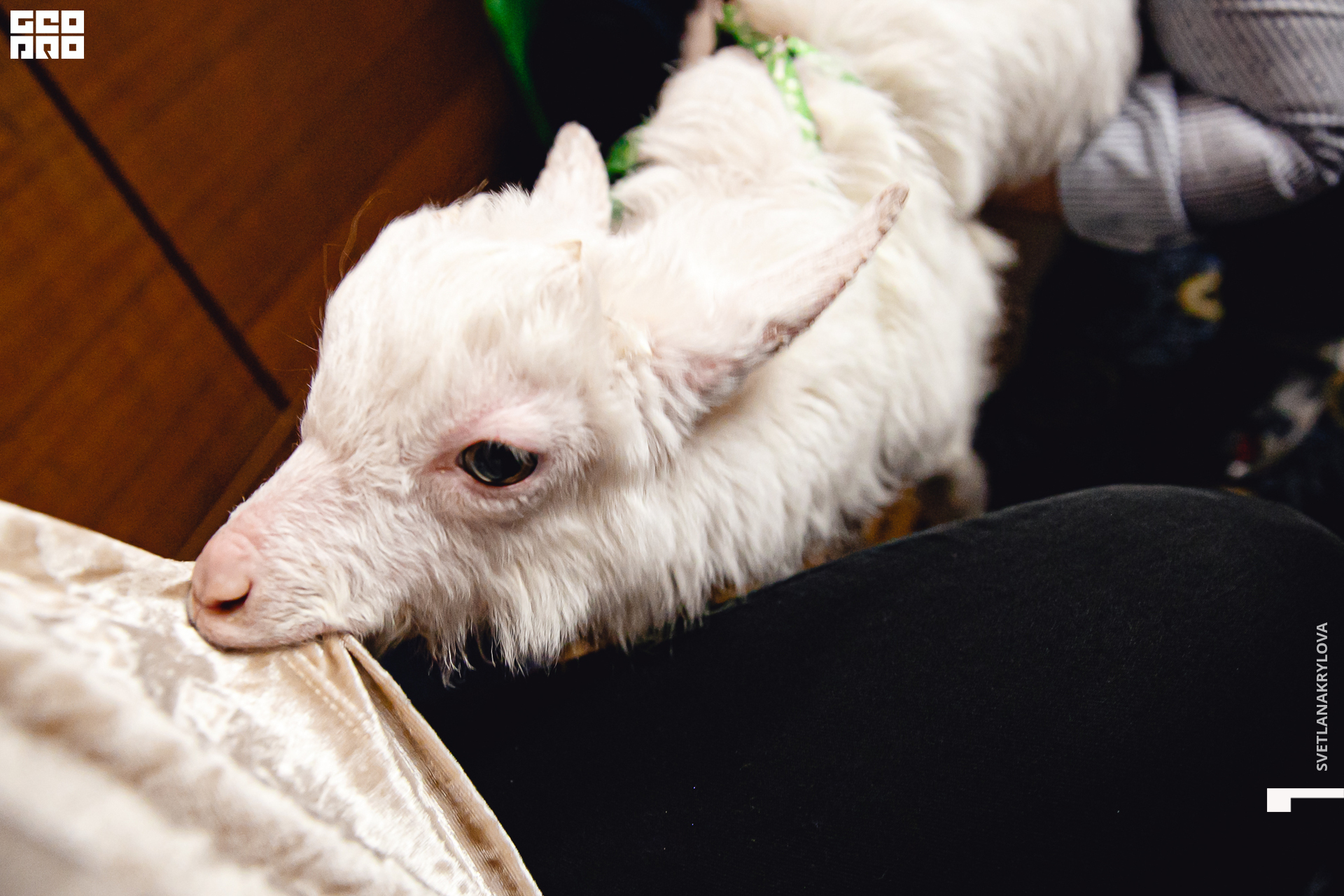 2019-12-22 16-00-00 Krylova_0025.jpg