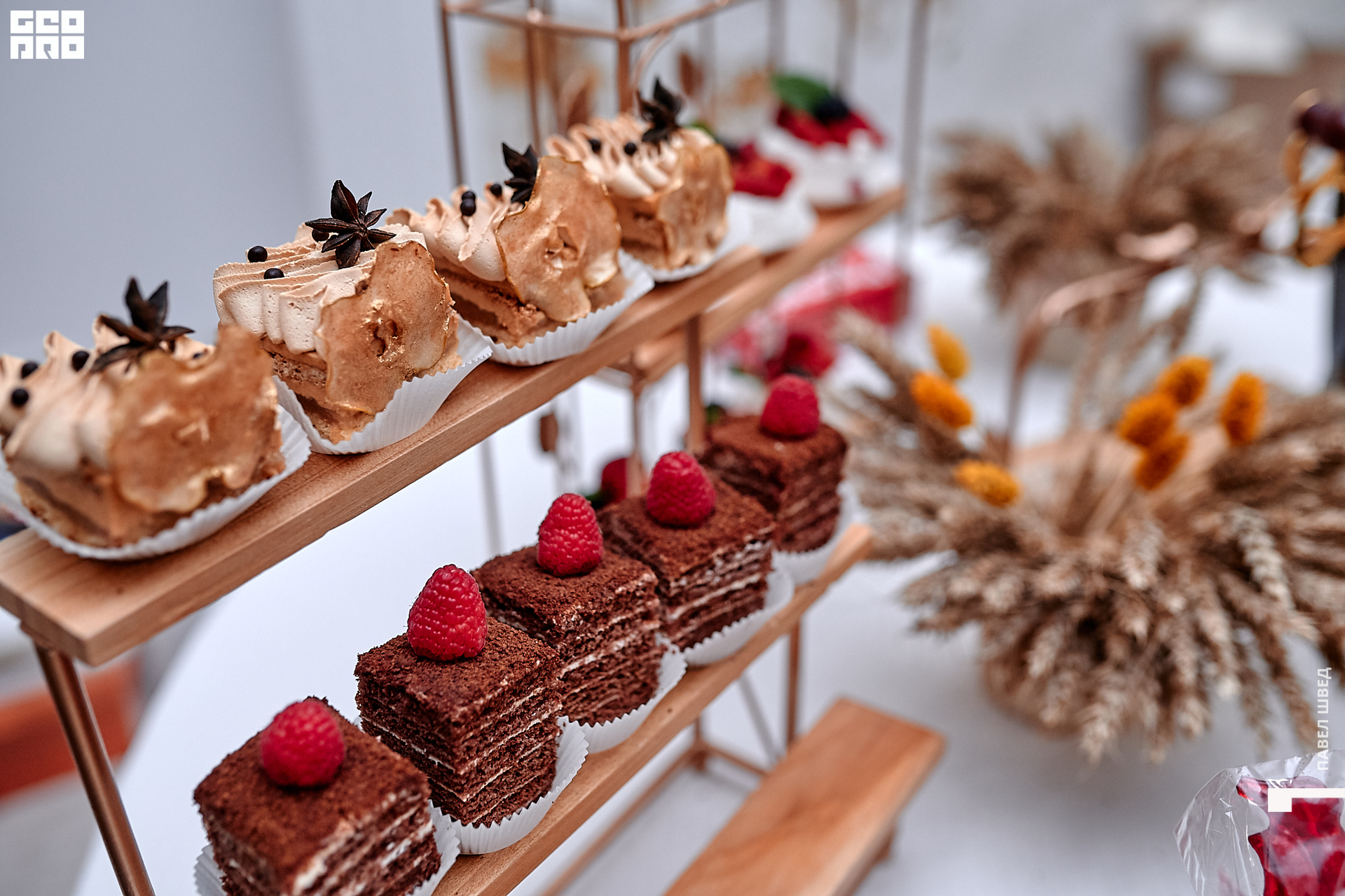 2019-11-24 13-10-00_SHVED_0042.jpg