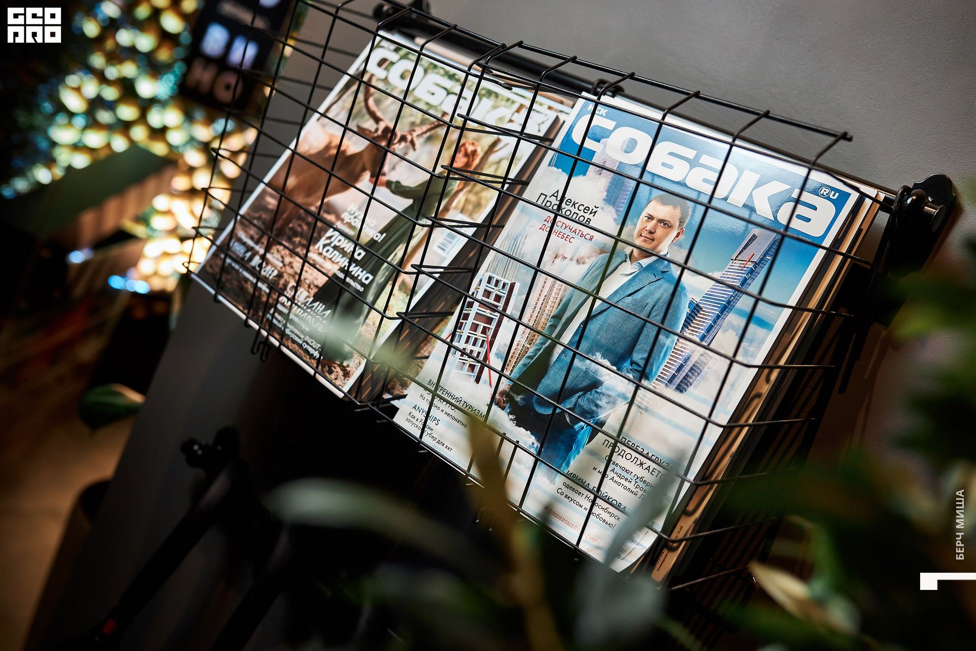 @misha.byorch 0109.jpg