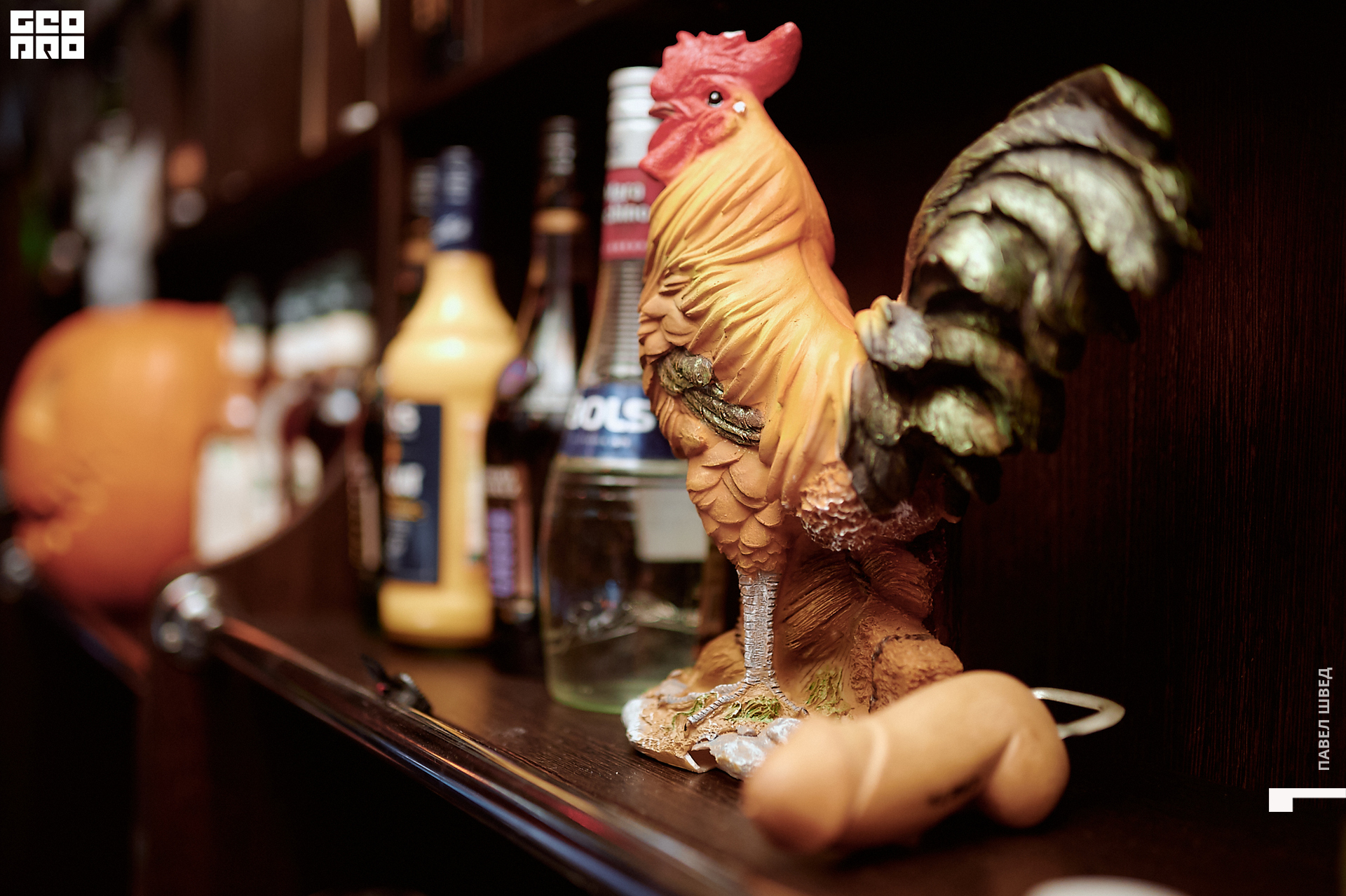 2019-11-01 23-00-00_SHVED-0028.jpg