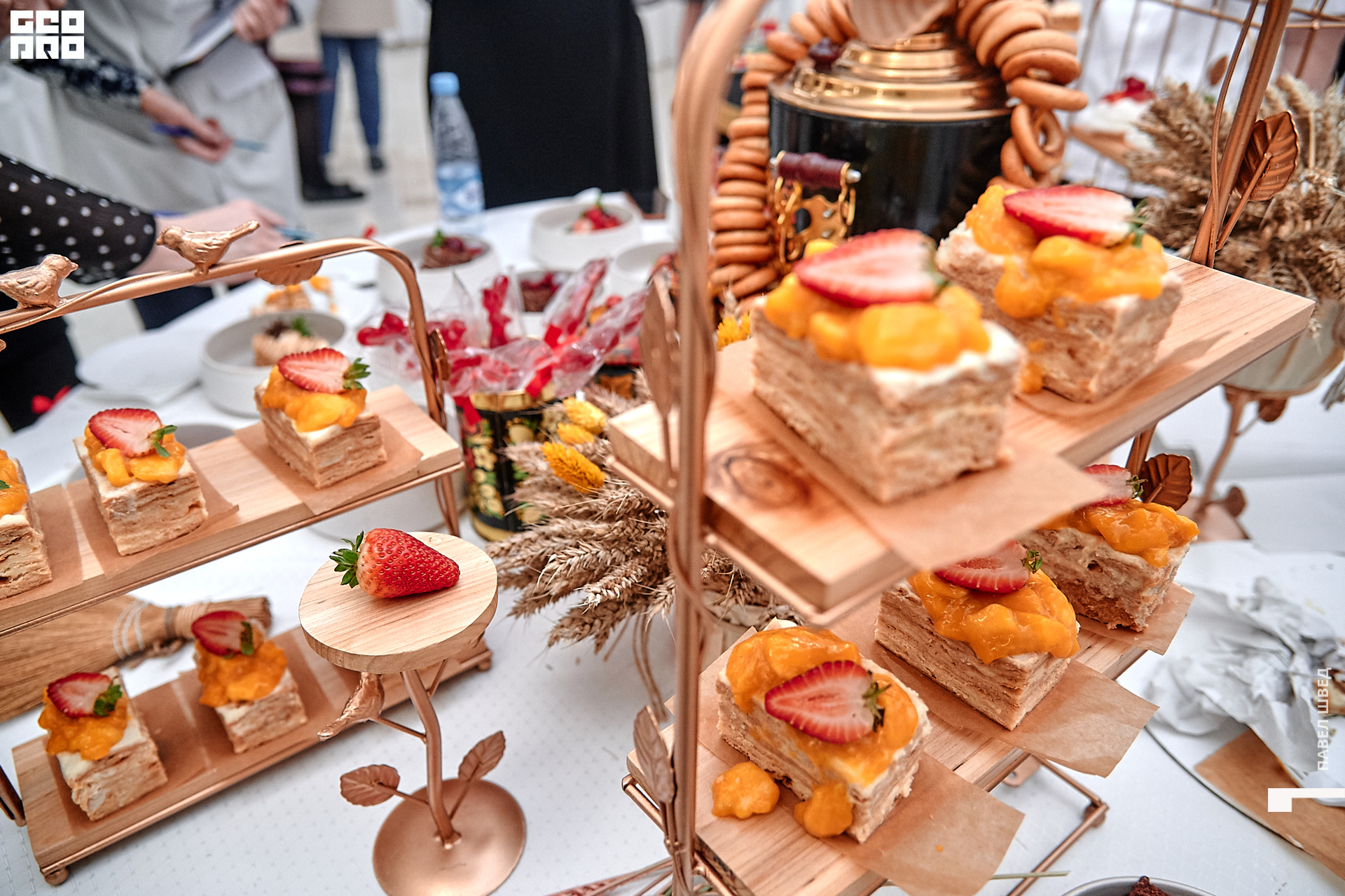 2019-11-24 13-10-00_SHVED_0143.jpg