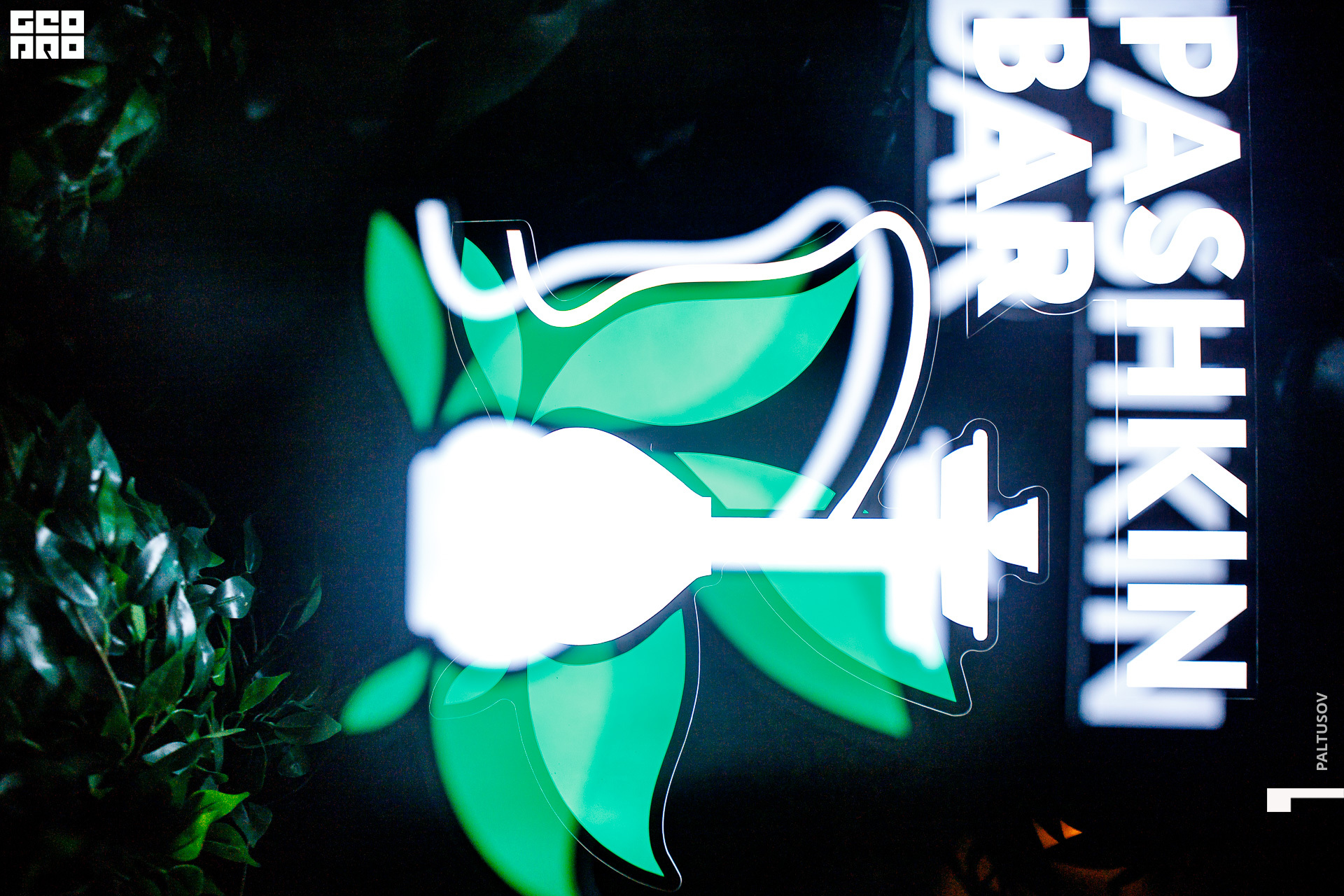 075-2019-11-10-01-00-01 - Paltusov.jpg