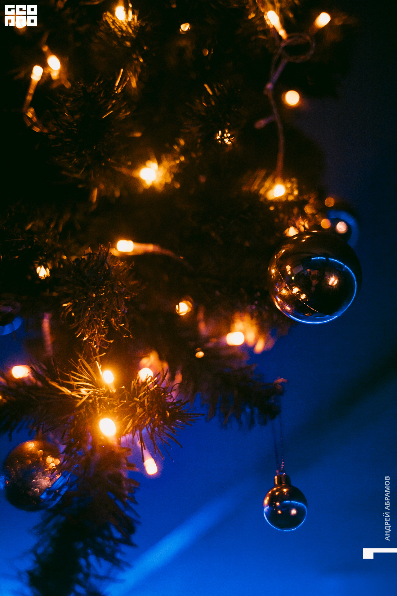 061219 Шишка Абрамов  0009.jpg