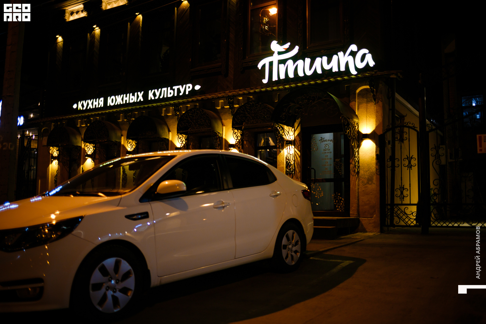 251019 Птичка Абрамов0094.jpg