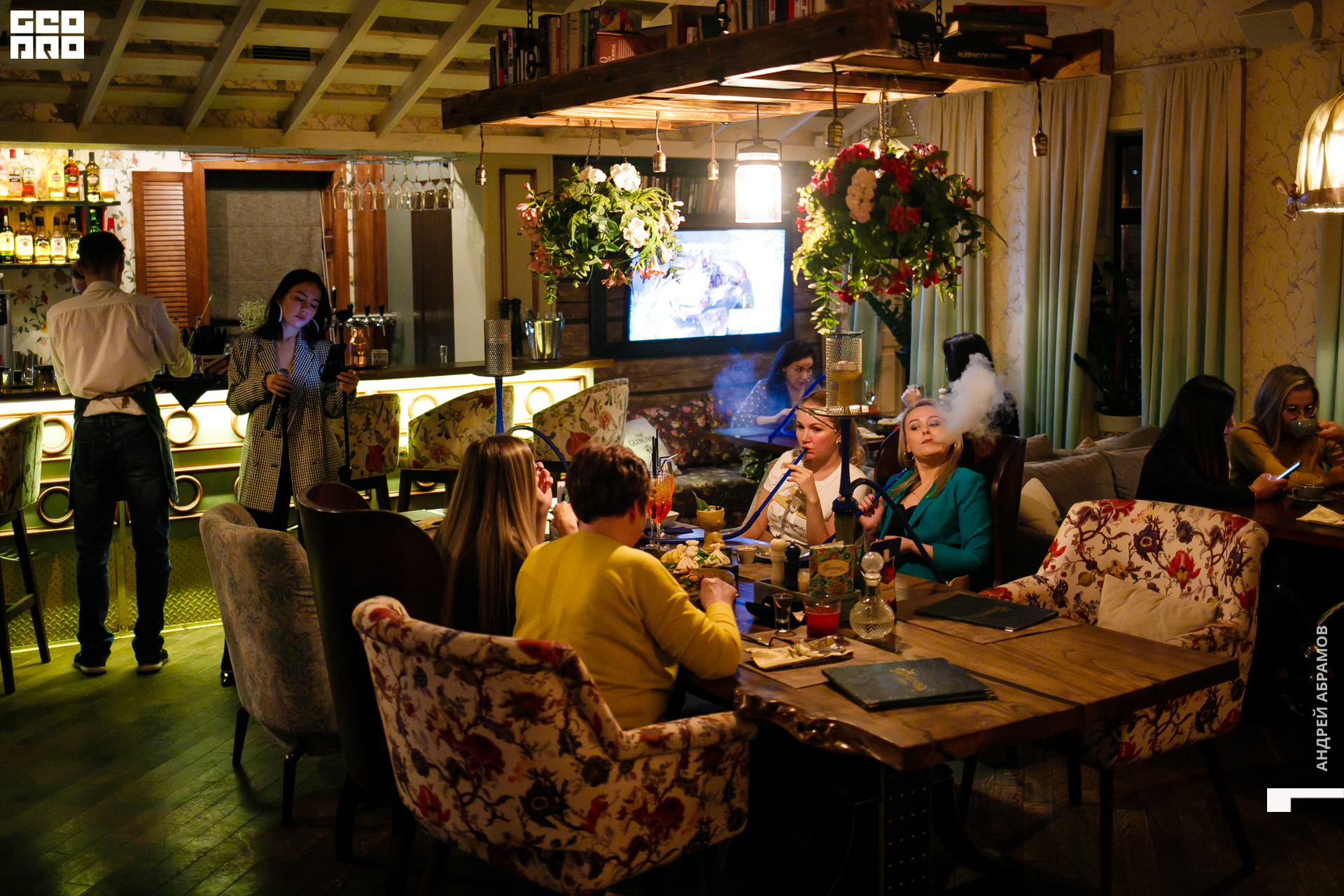 081119 Птичка Абрамов 0027.jpg