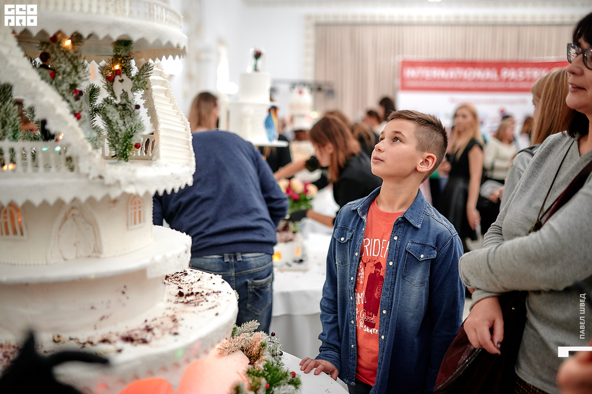 2019-11-24 13-10-00_SHVED_0295.jpg