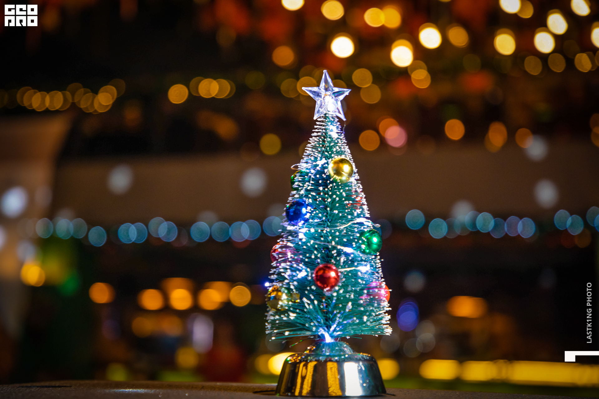 Fabis 18 декабря-28.JPG