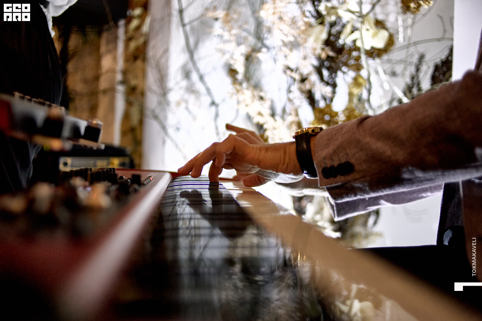 tokmakaveli 2997.jpg