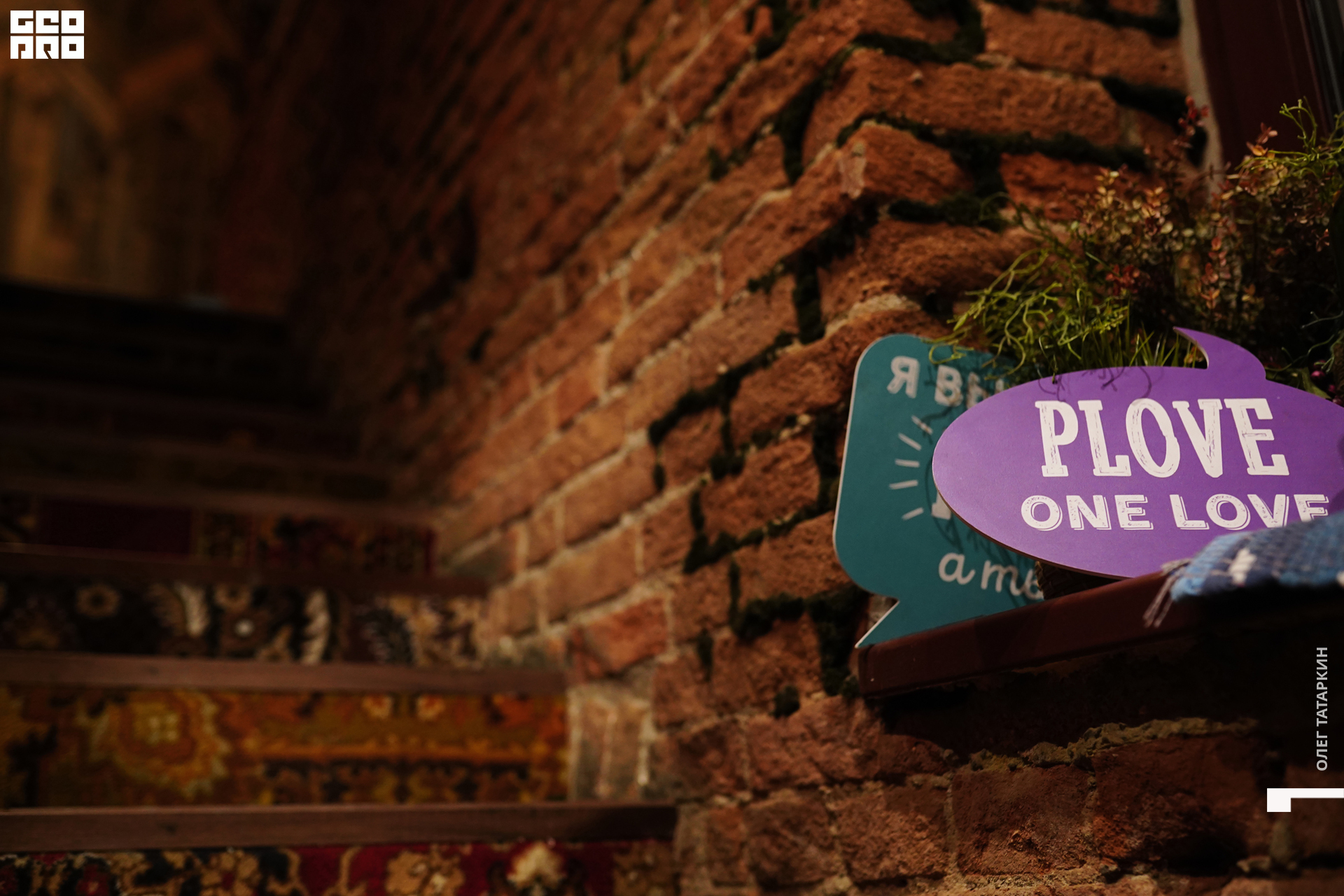 19-11-15 20-00-25_Татаркин.jpg