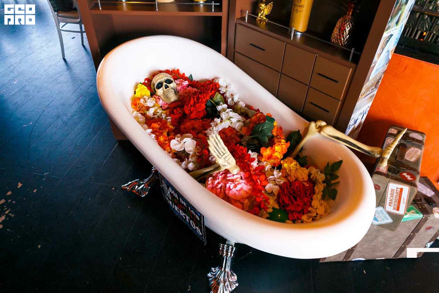 Cartagena (33 of 119).jpg