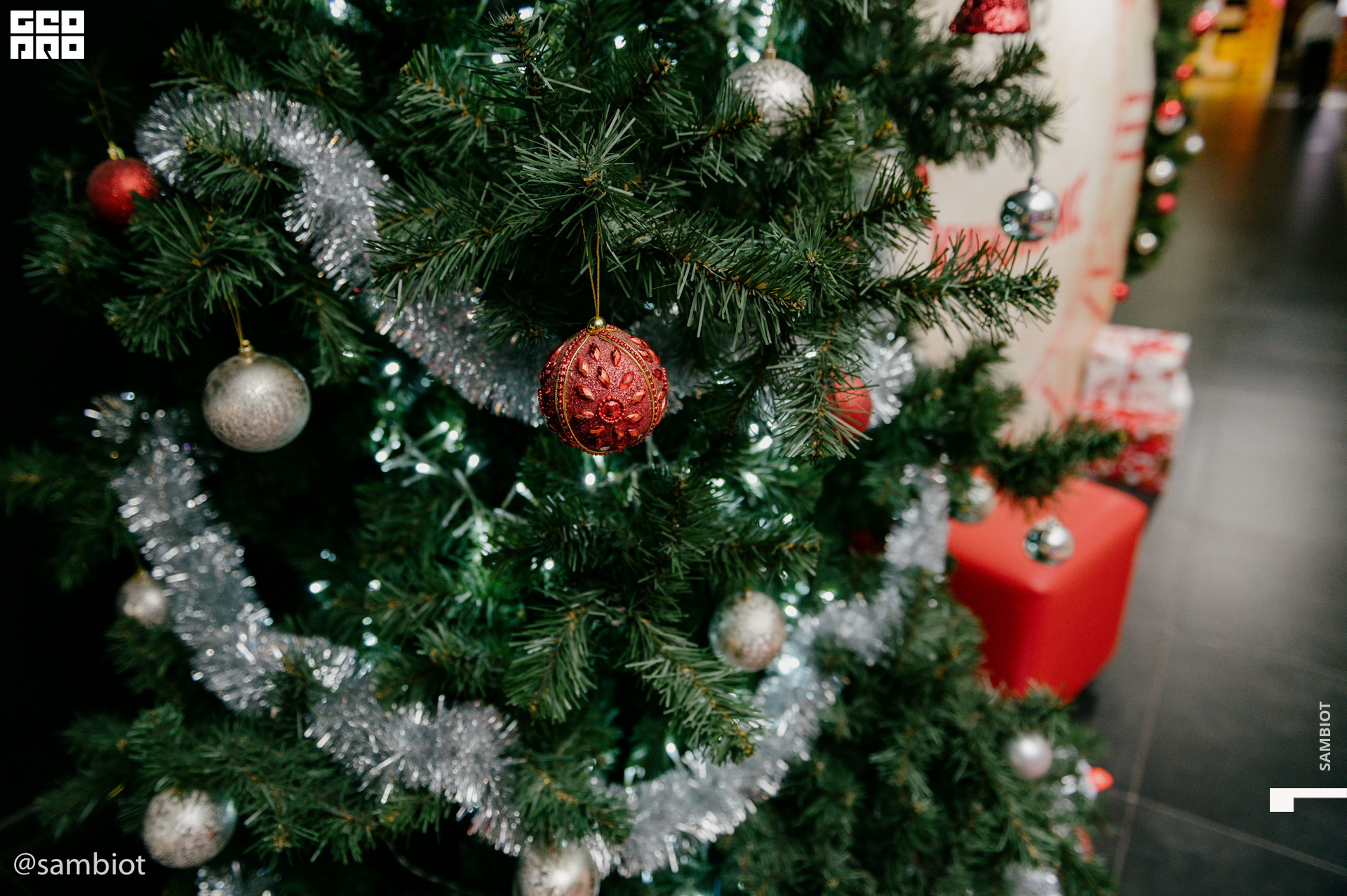 untitled (6 of 63).jpg