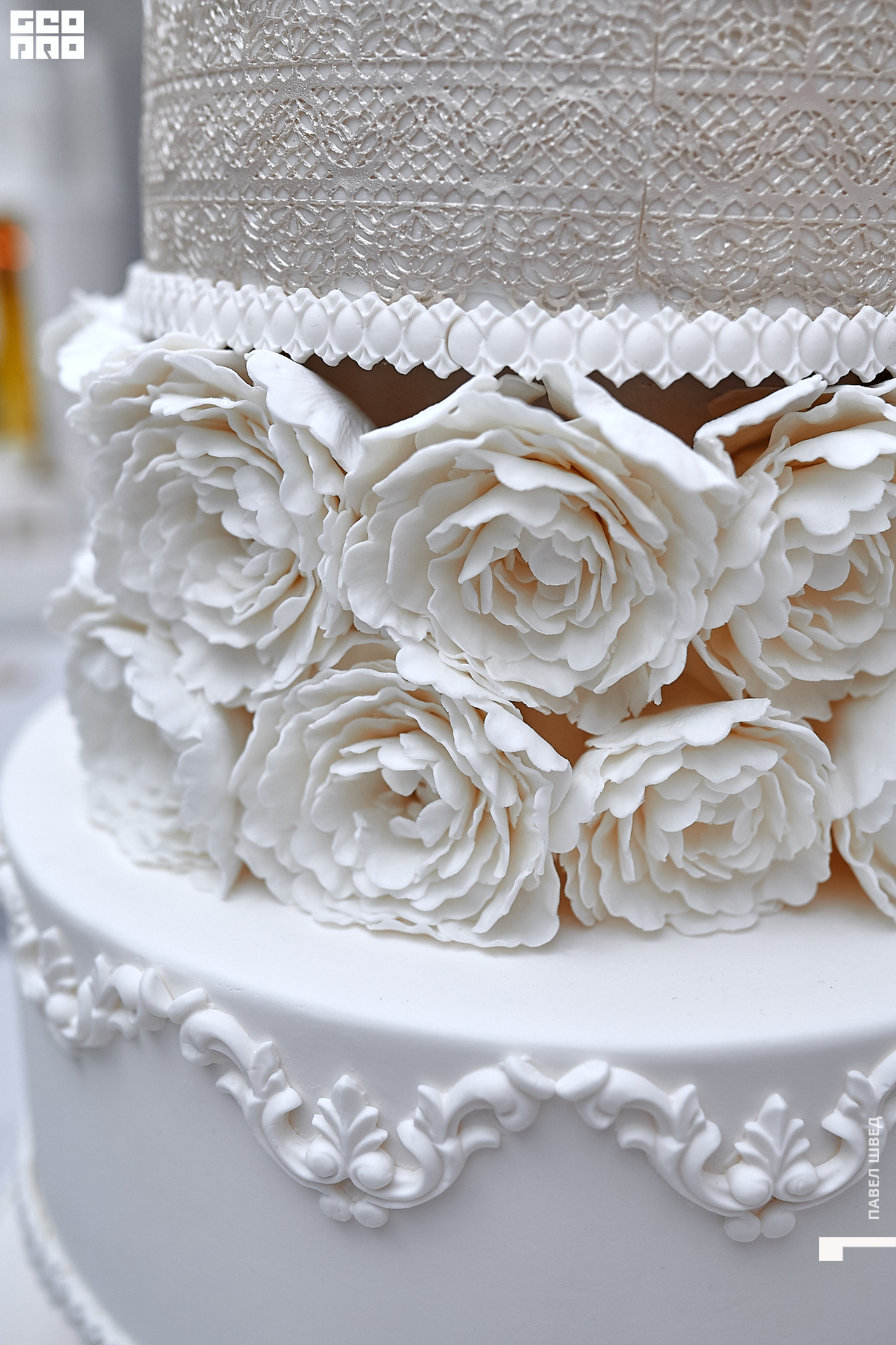 2019-11-24 13-10-00_SHVED_0021.jpg