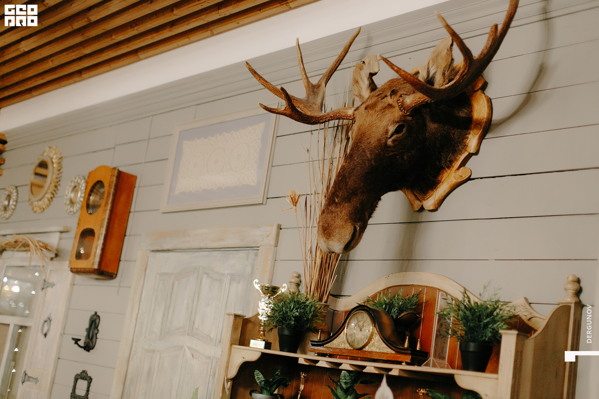 2020-10-31 19-02-26IMG_8994.jpg