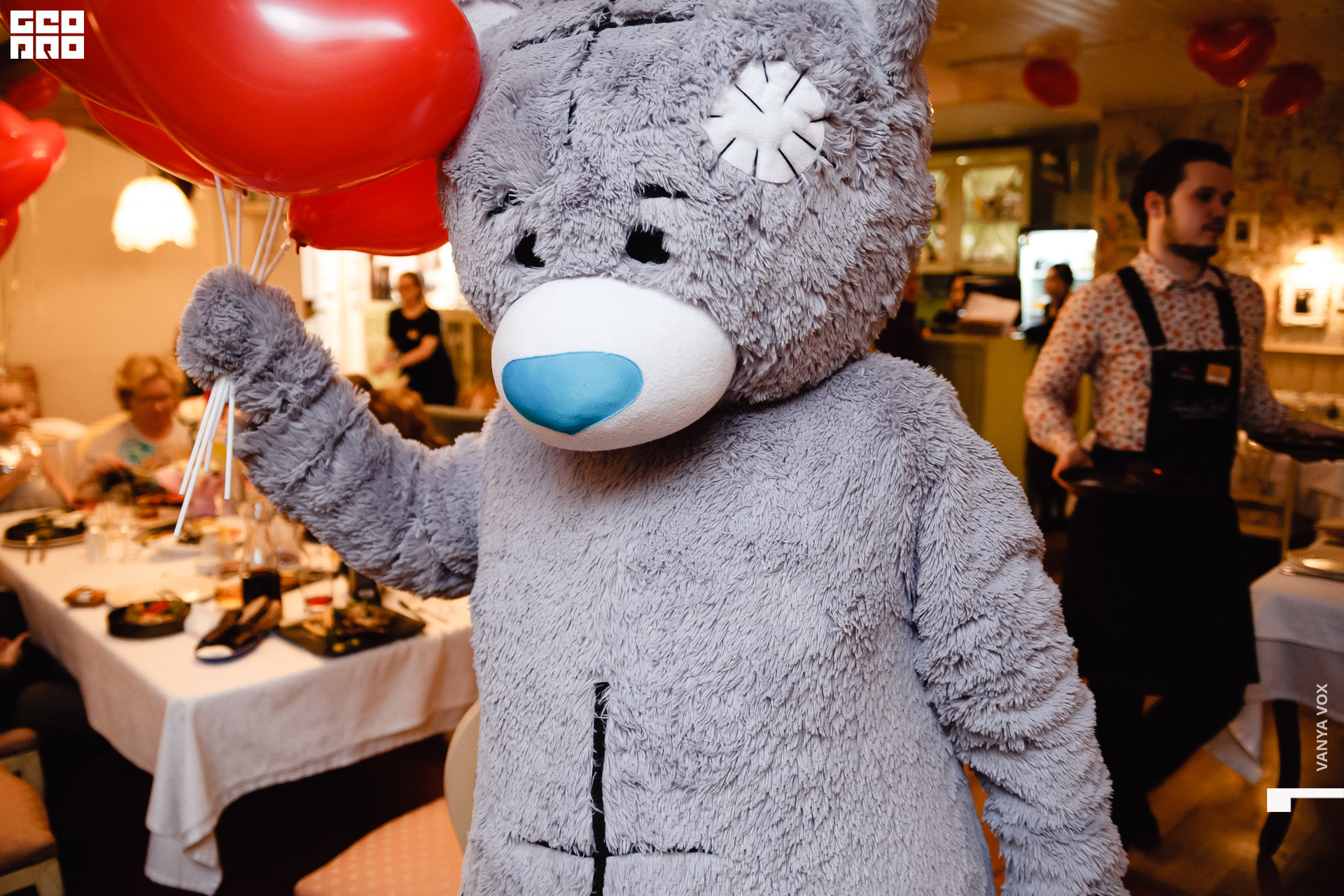 2020-02-14 18-45-00_vox_011.jpg