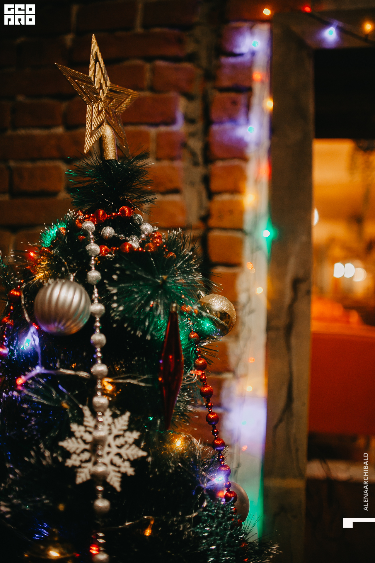 2019-11-29 20-00-26_alenaarchibald_0059.jpg