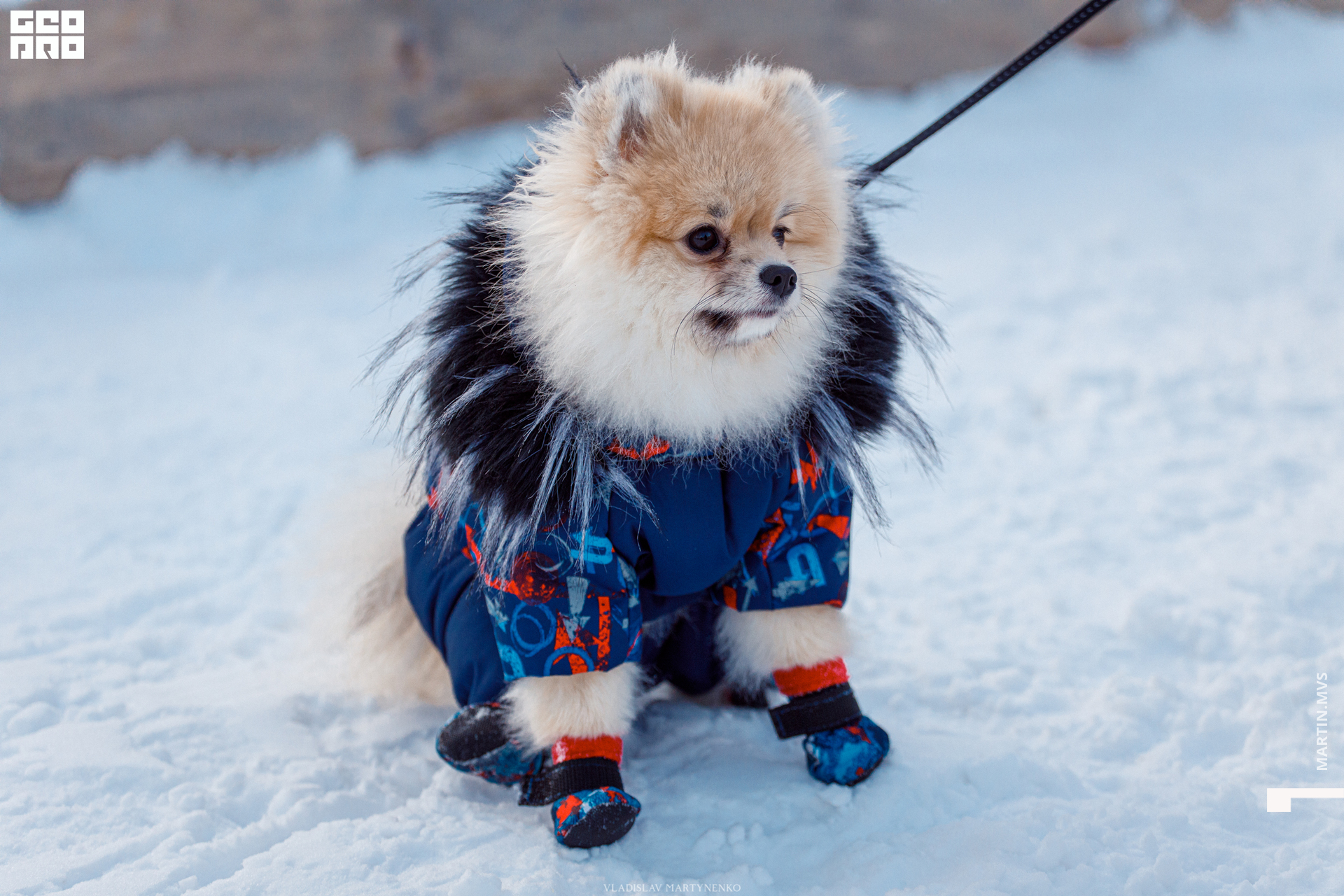 Лесная 26 января_00008.jpg