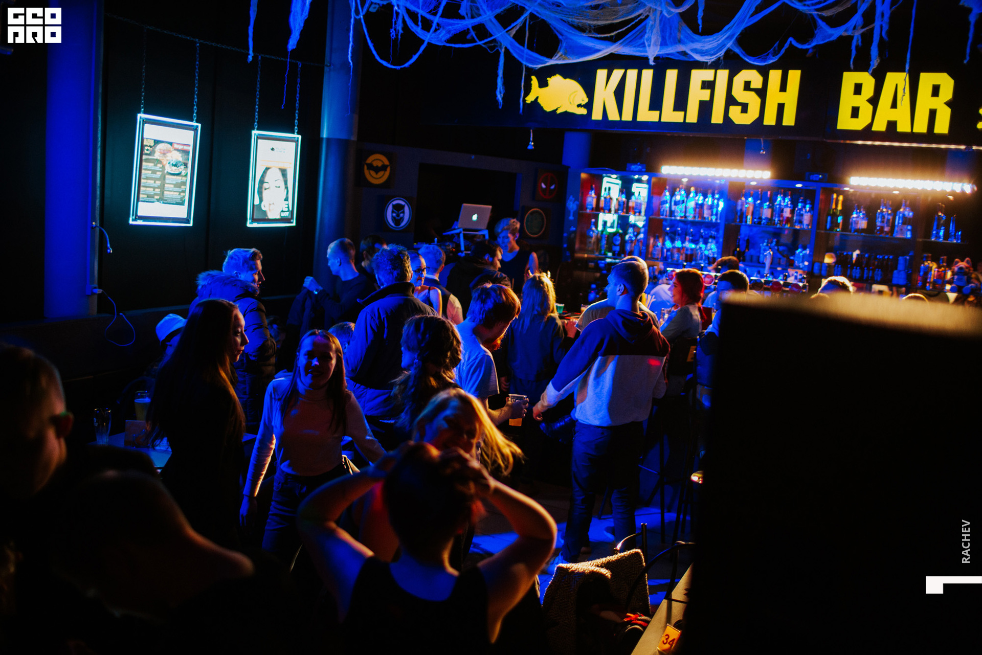 killfish-098.jpg