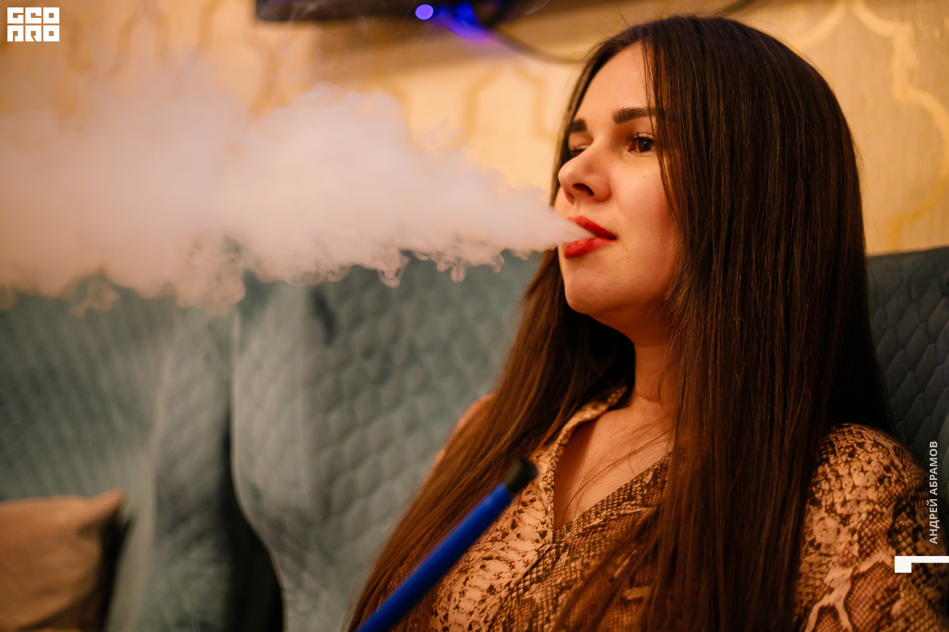 251019 Птичка Абрамов0085.jpg