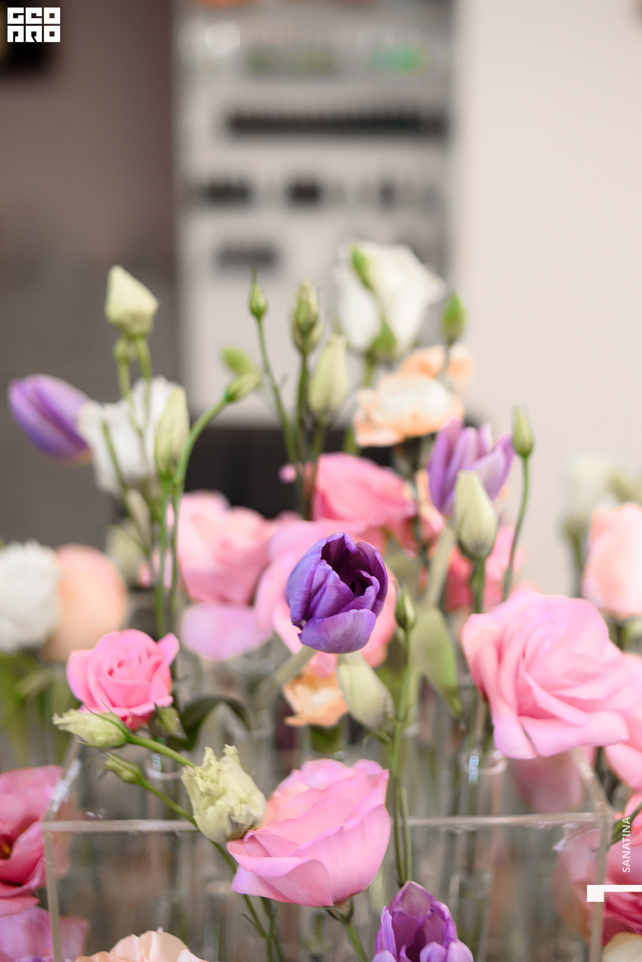 0014_2020-10-17_17-46-54 - Sanatina.jpg