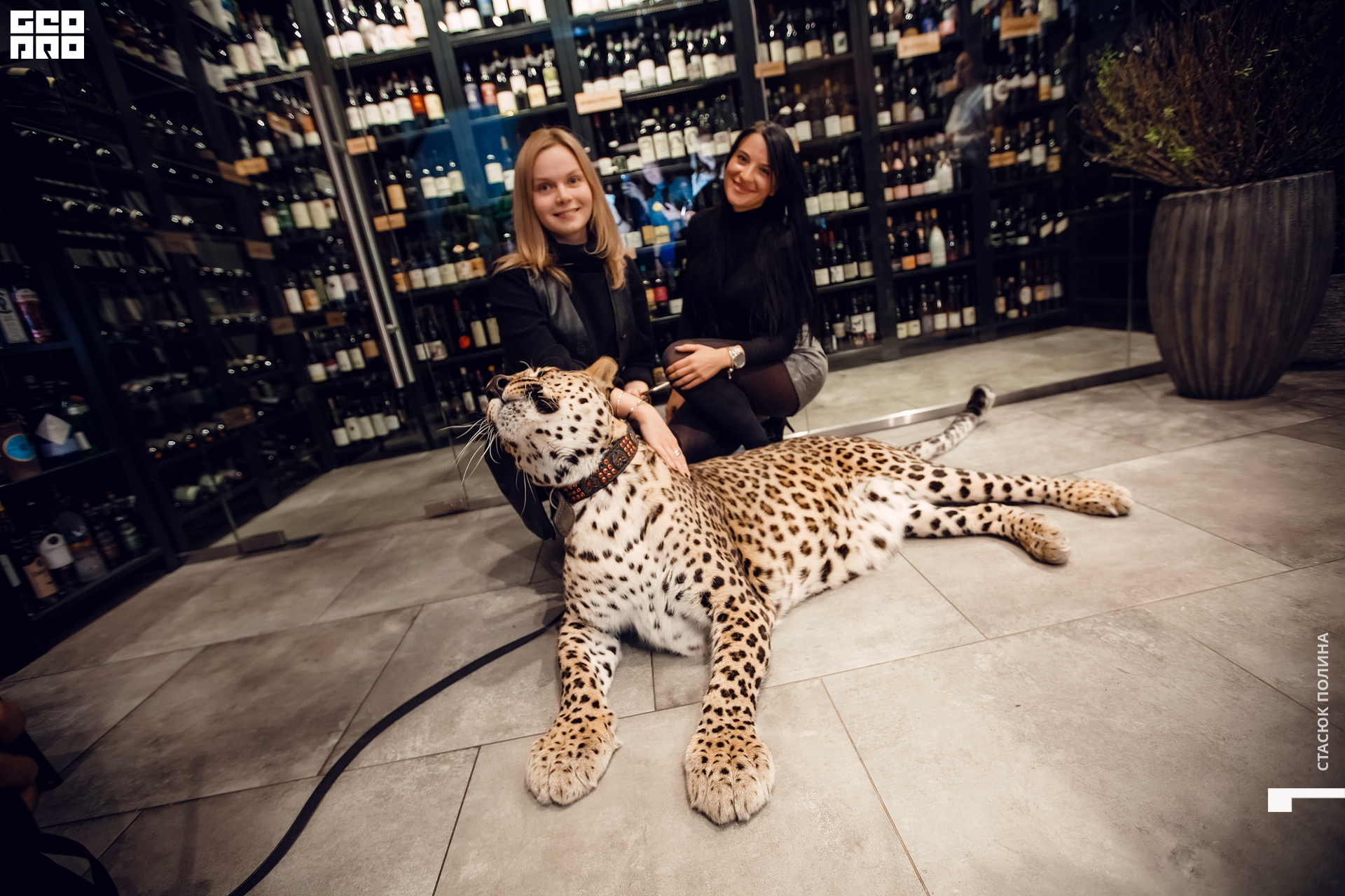 кино вино и домино - 159.jpg